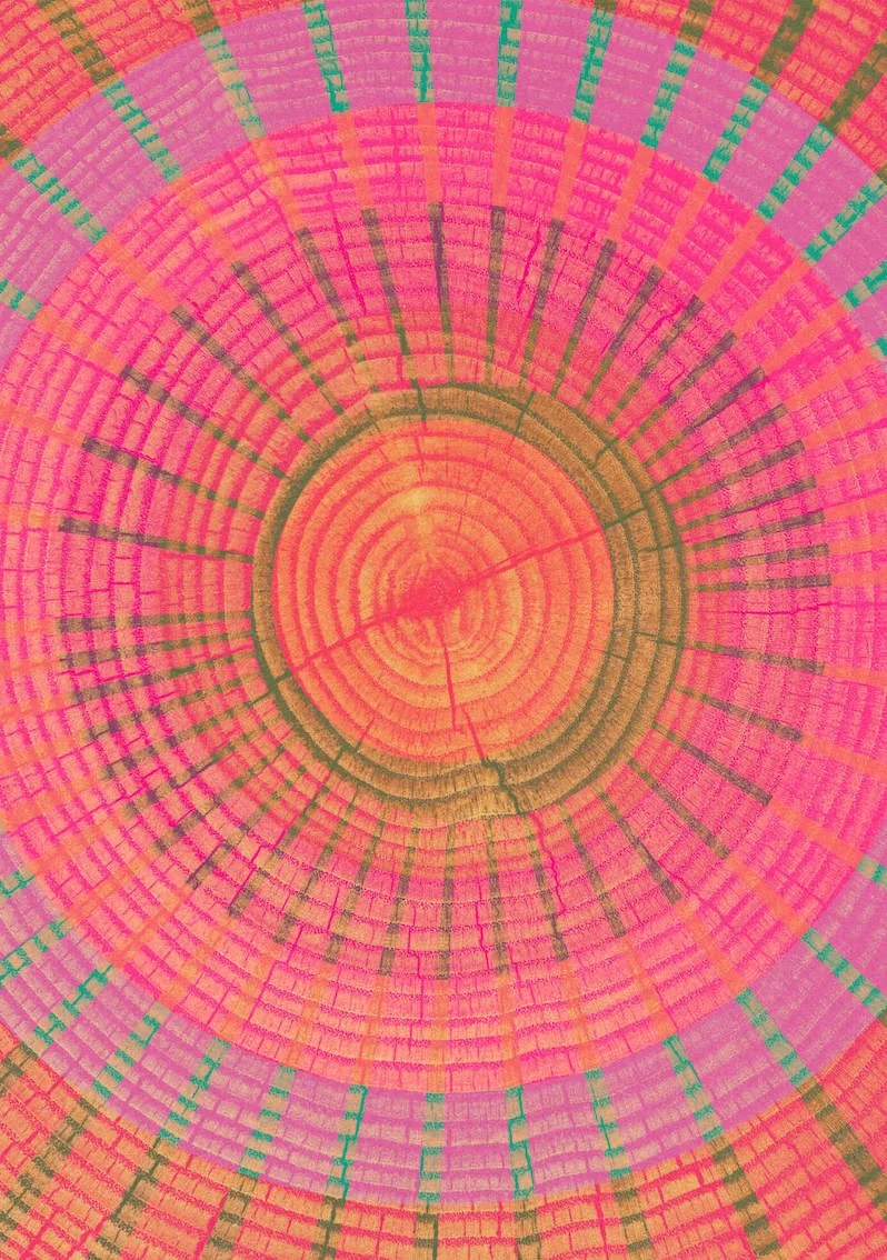 One Tree #12 by Paul Scott. One tree planted for every print sold.   Printed on Heavyweight archival 260gsm matte paper using fade resistant inks. 100% cotton rag , Acid-Free.