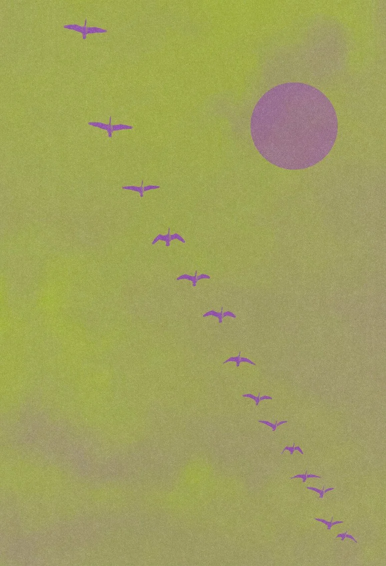 Flock #1 by graphic artist Paul Scott.  Printed on Heavyweight archival 260gsm matte paper using fade resistant inks. 100% cotton rag , Acid-Free. Design available in 3 colour options.