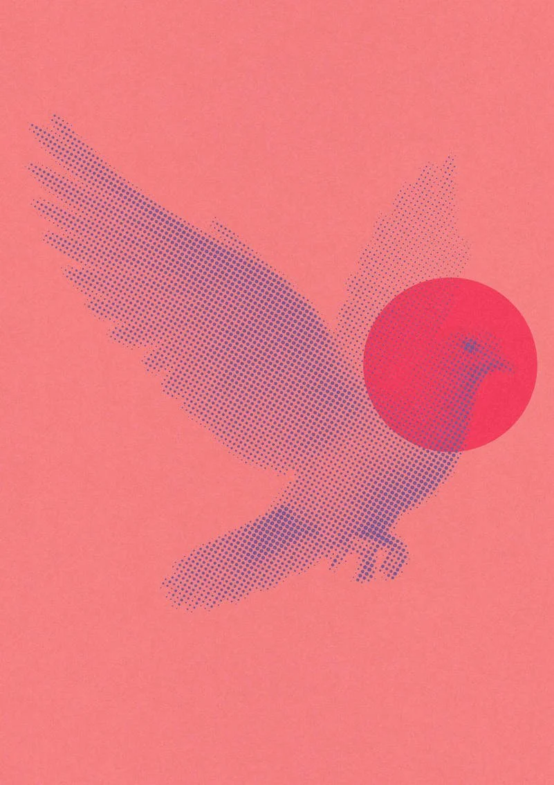 Dove-05.jpg