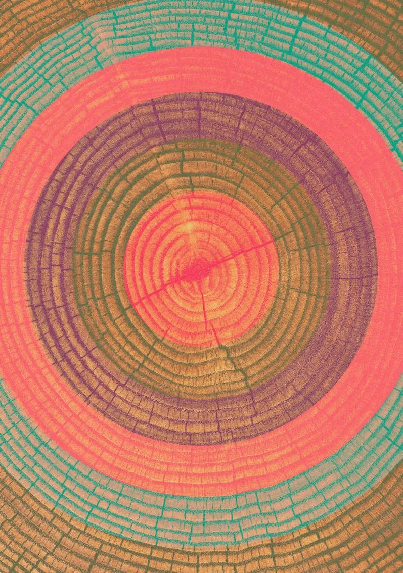 One Tree #6 by Paul Scott. One tree planted for every print sold.   Printed on Heavyweight archival 260gsm matte paper using fade resistant inks. 100% cotton rag , Acid-Free.