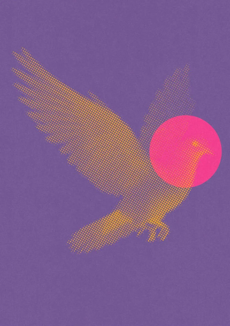 Dove-04.jpg