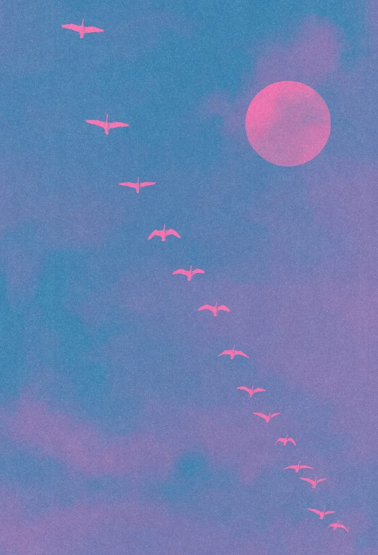 Flock #1 by graphic artist Paul Scott.  Printed on Heavyweight archival 260gsm matte paper using fade resistant inks. 100% cotton rag , Acid-Free. Design available in 3 colour options.