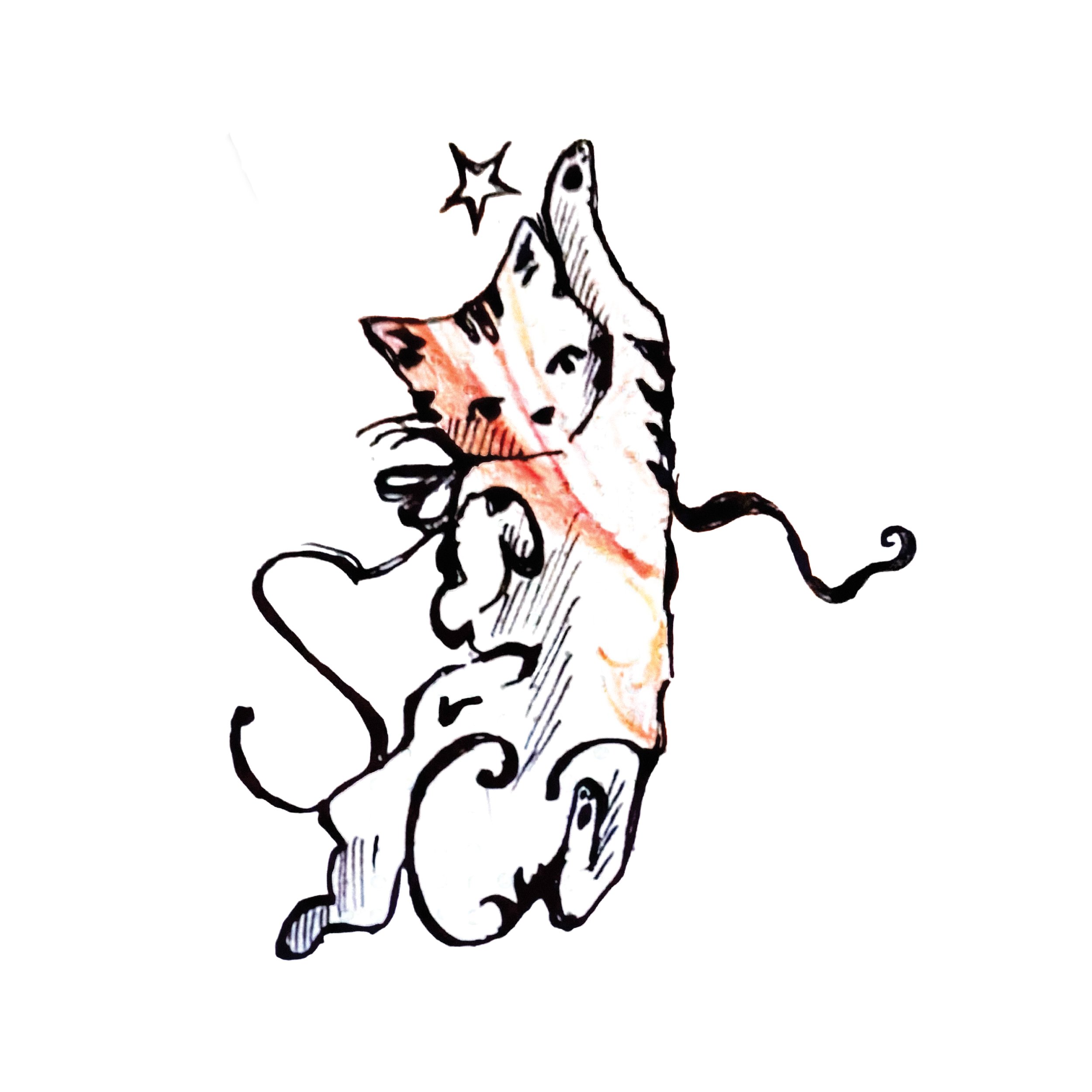 kitty - small.jpg