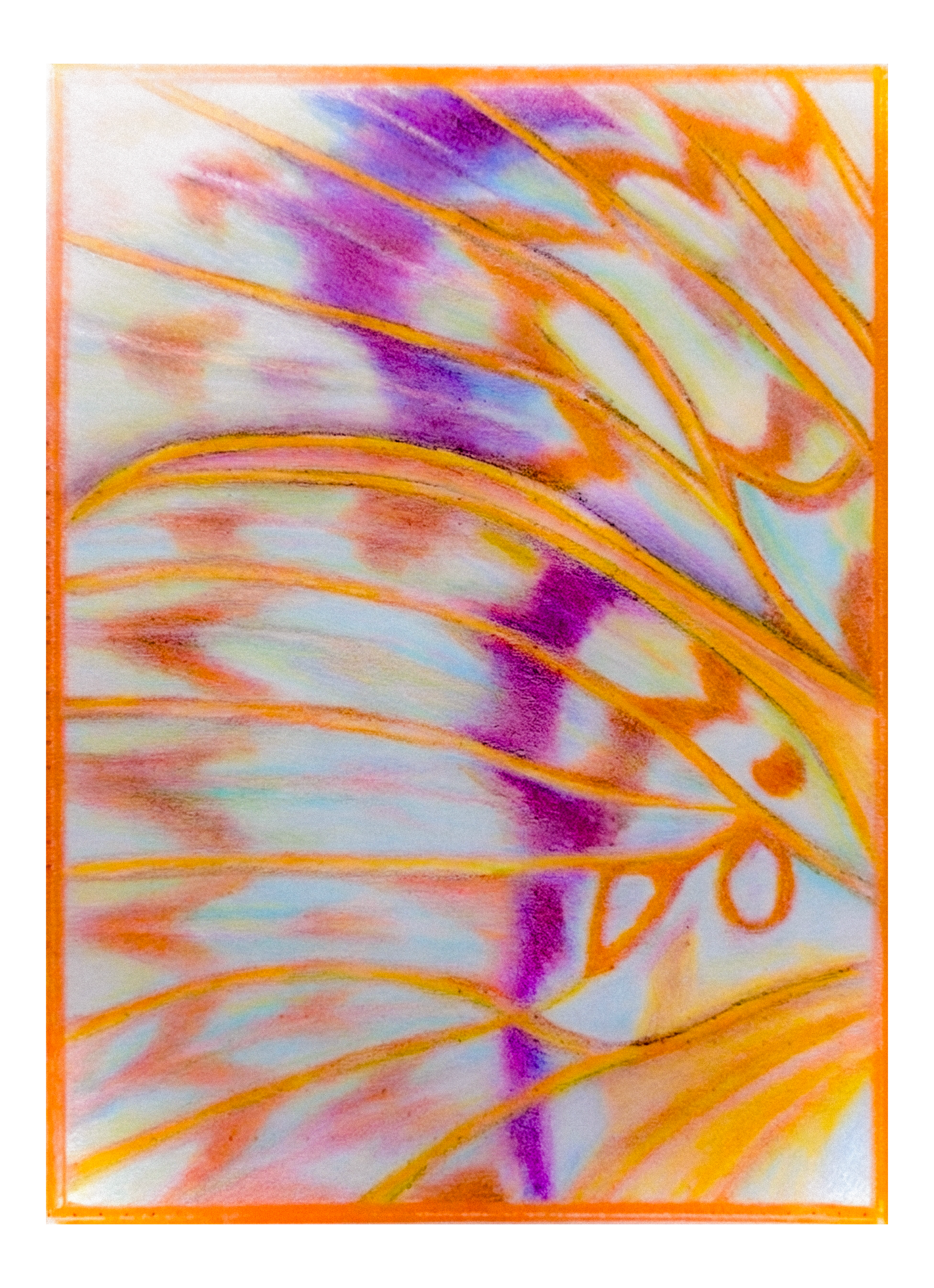 butterfly wing.png