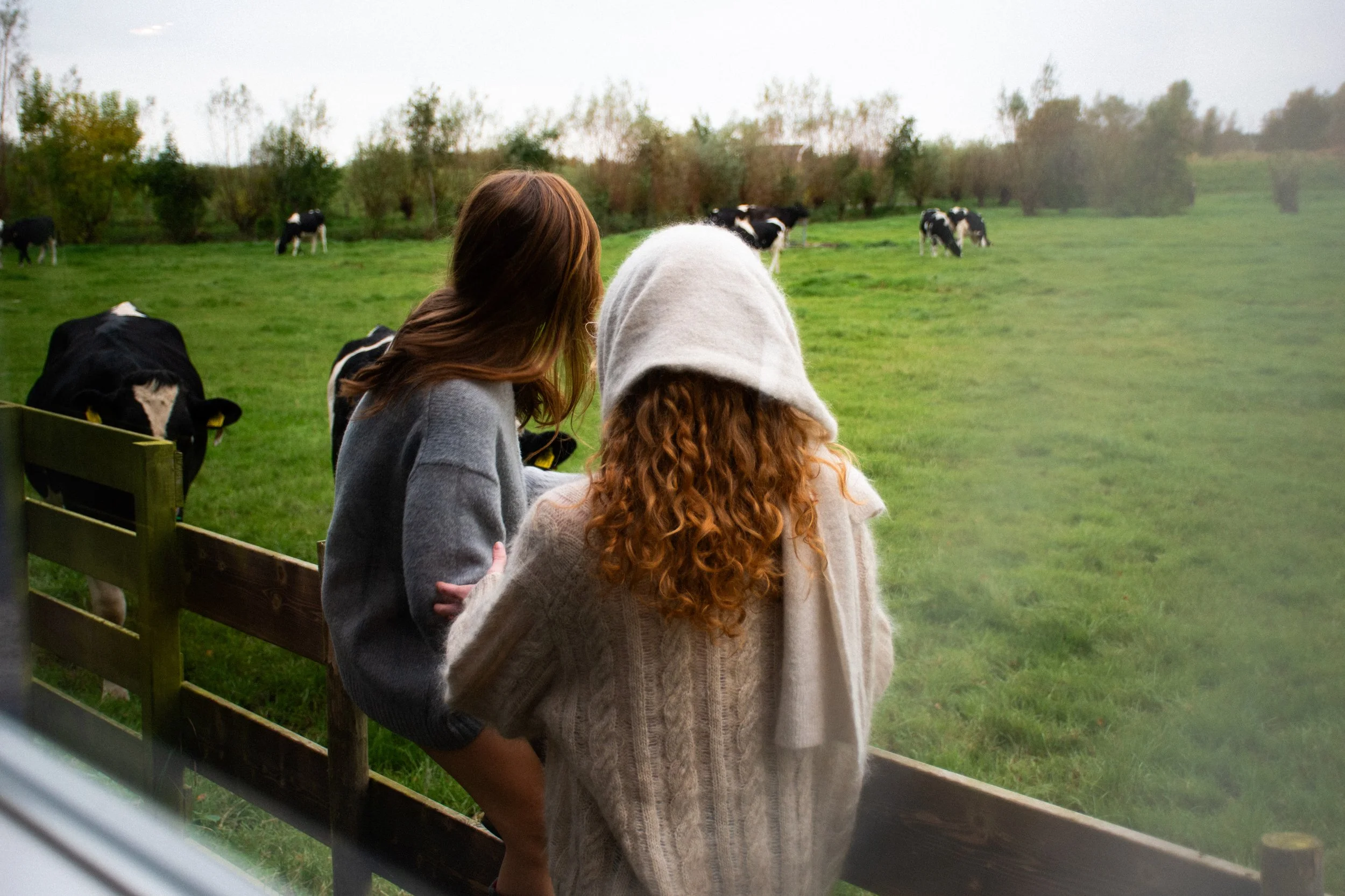 Two women, one with curly red hair and the other with straight brown hair, looking at cows grazing in a green field, viewed through a window.
