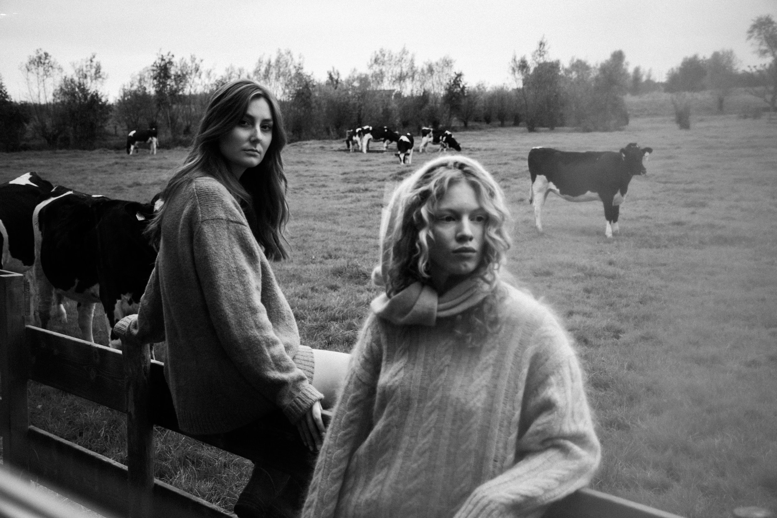 Two young women sitting on a fence, with cows grazing in a field in the background, in black-and-white.