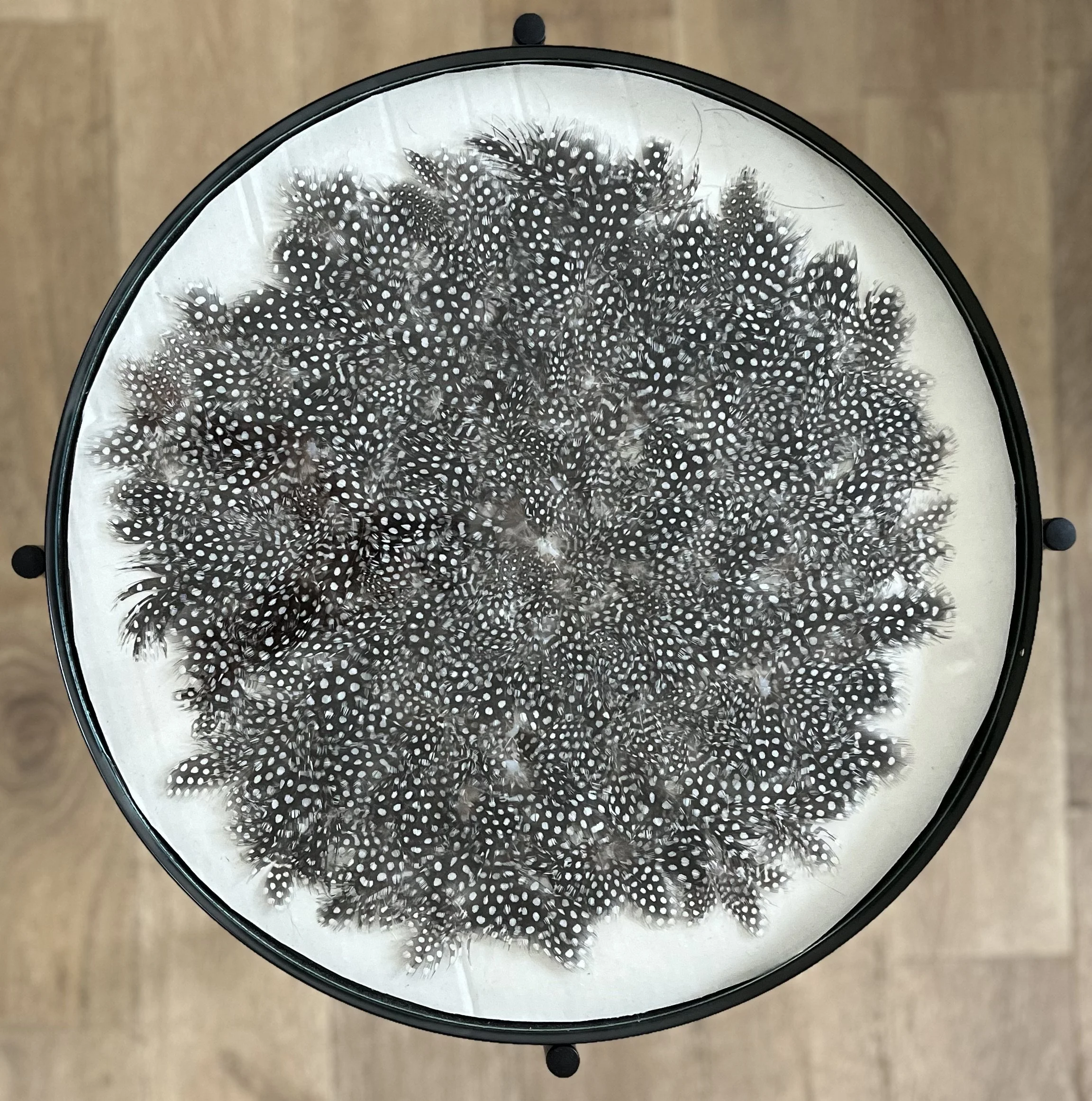 Close-up of a container filled with black and white polka-dotted feathers, viewed from above on a light wood surface.