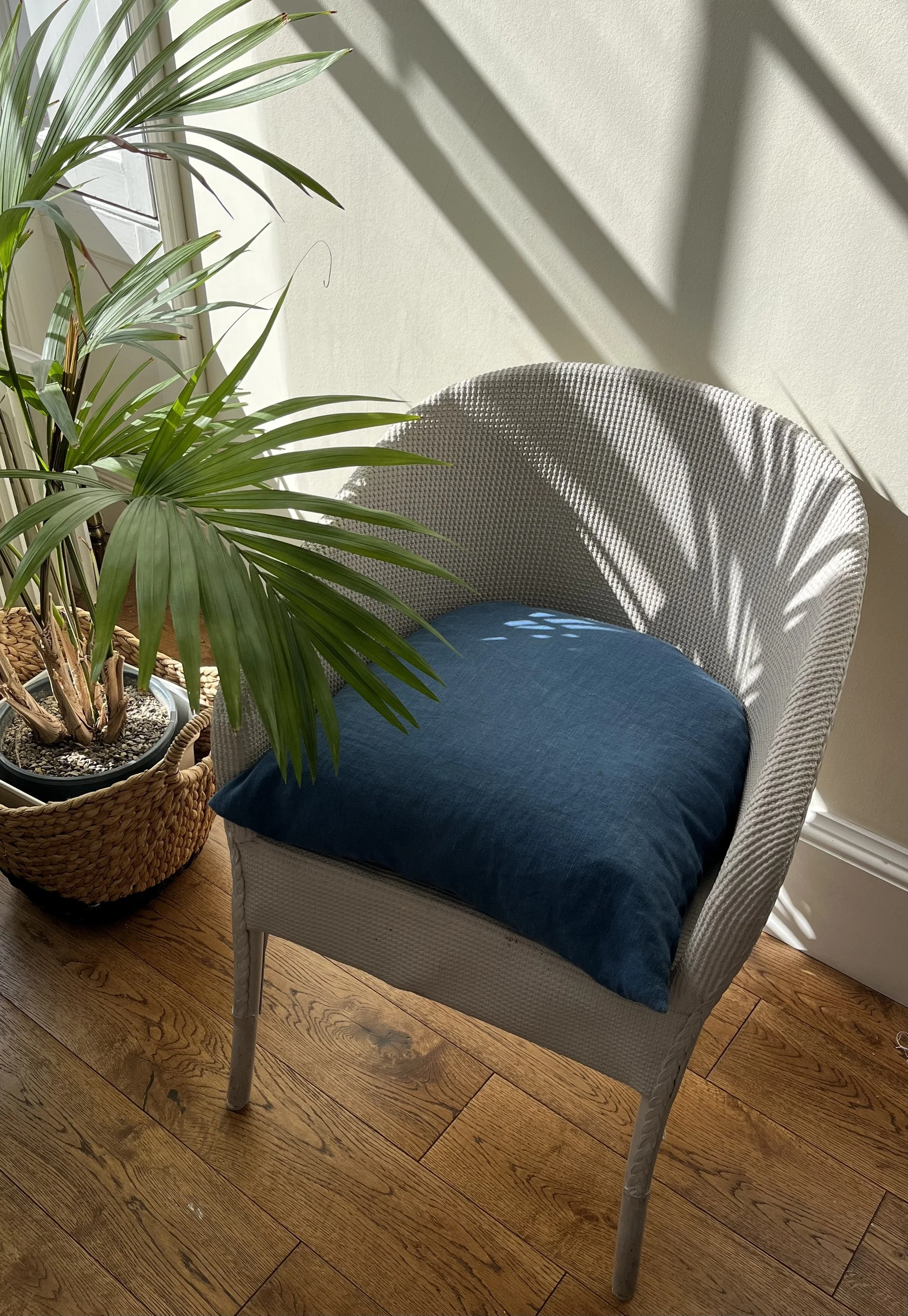 A white wicker chair with a blue cushion in front of a window, with sunlight casting shadows on the wall. There is a tall houseplant in a woven basket next to the chair, and the flooring is wooden.