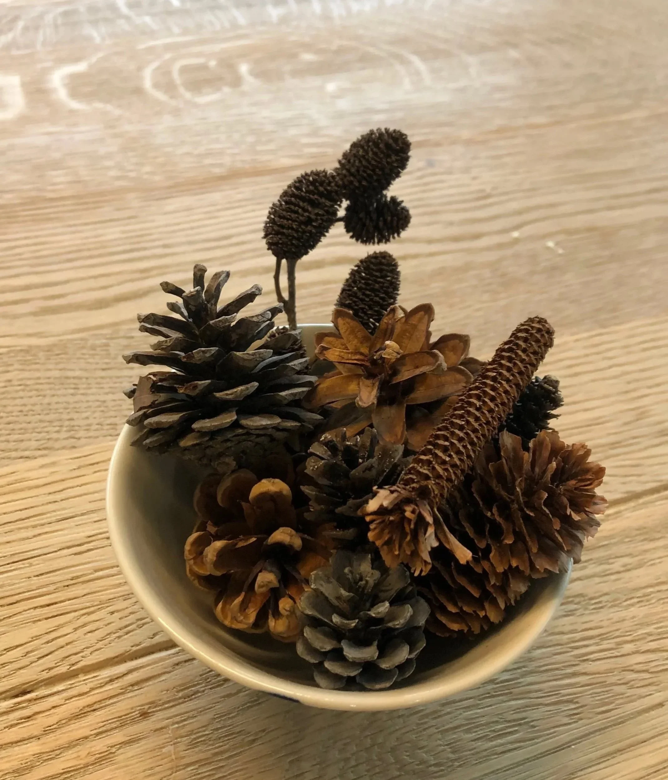 A small white bowl filled with various pinecones on a wooden surface.
