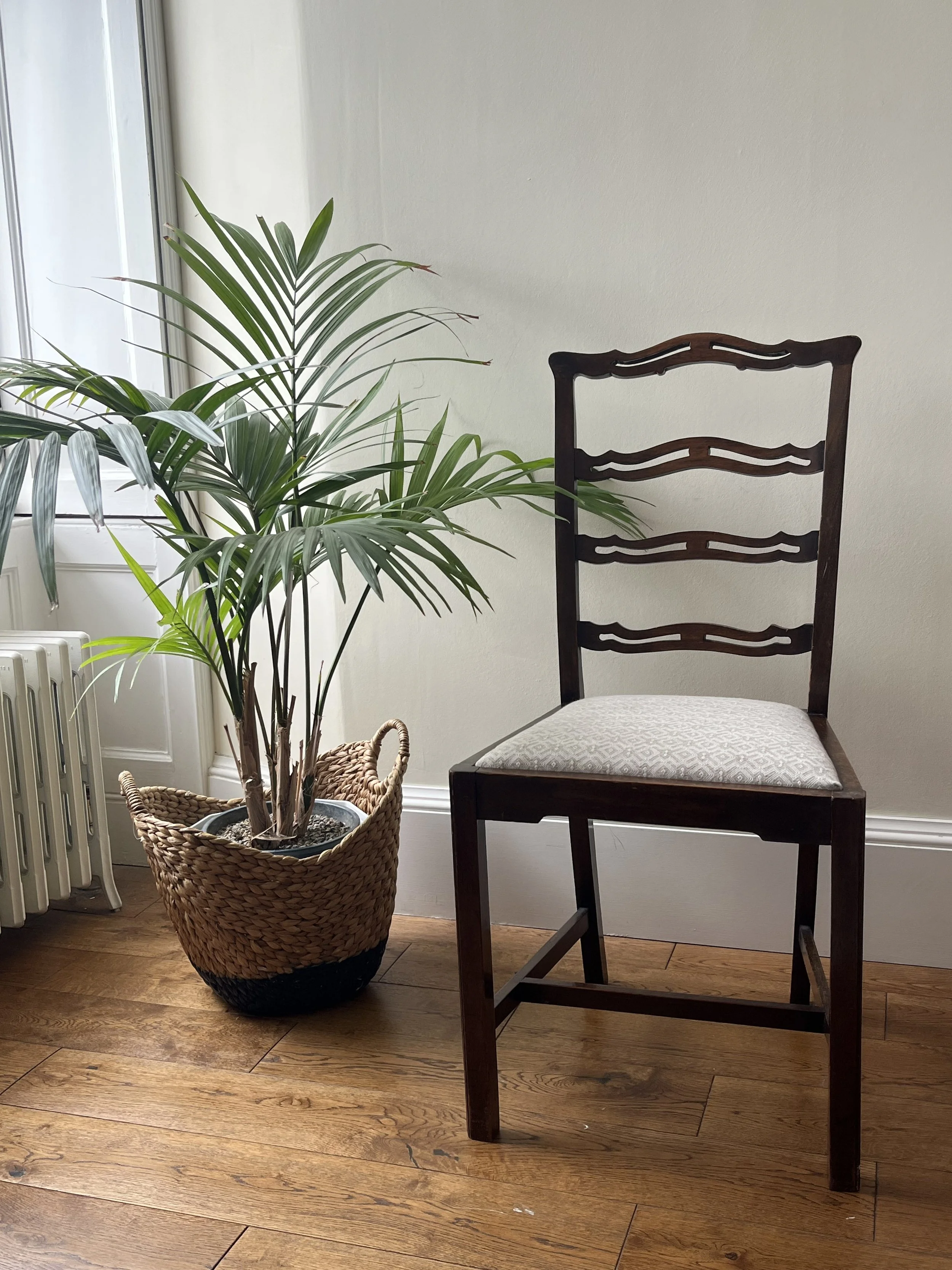 A potted palm plant next to a wooden chair with a cushioned seat, near a window with white walls and wooden flooring.