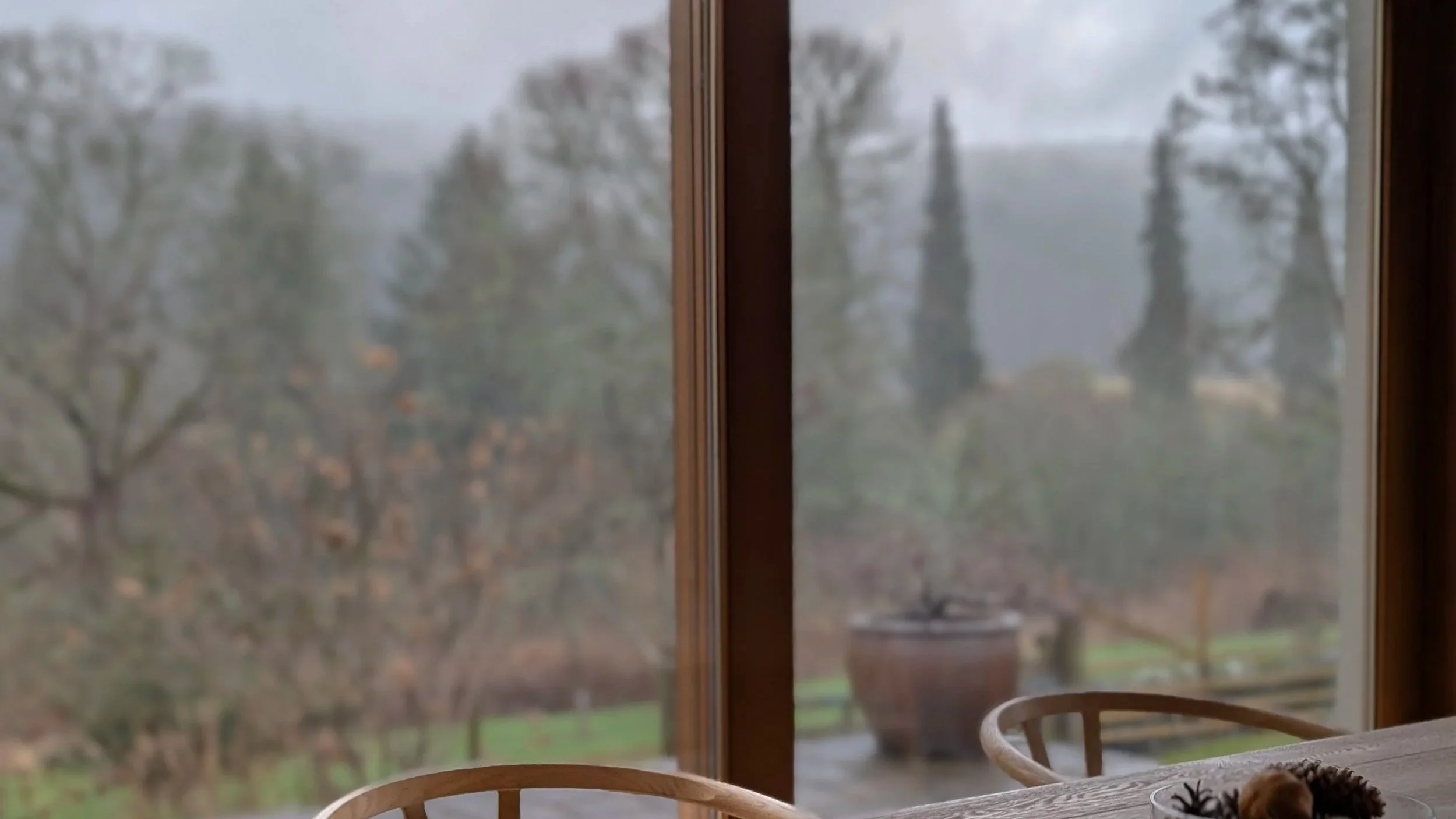 Rainy outdoor scene viewed through a large glass window, with trees and yard visible in the background.