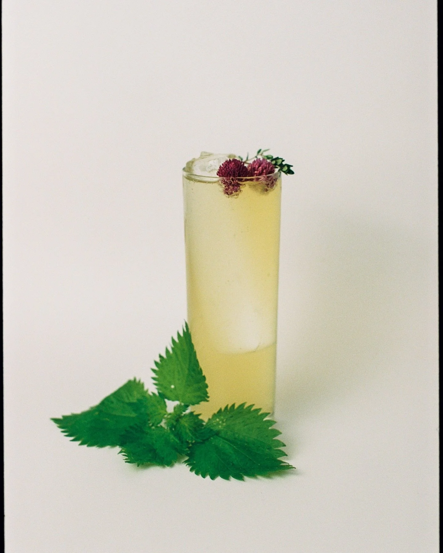 Oh Honey! 

Wild Nettle - Lemon Thyme - River Honey - C02 🐝

Spring&rsquo;s finally showing up and we&rsquo;re ready to lean into the months ahead and get creative.

At Sulco, low A.B.V. and non-alcoholic drinks deserve the same attention as everyth