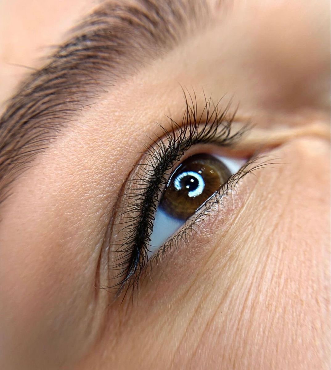 Close-up photo of a brown eye with long lashes and well-groomed eyebrow, showing reflection of a circular light source.