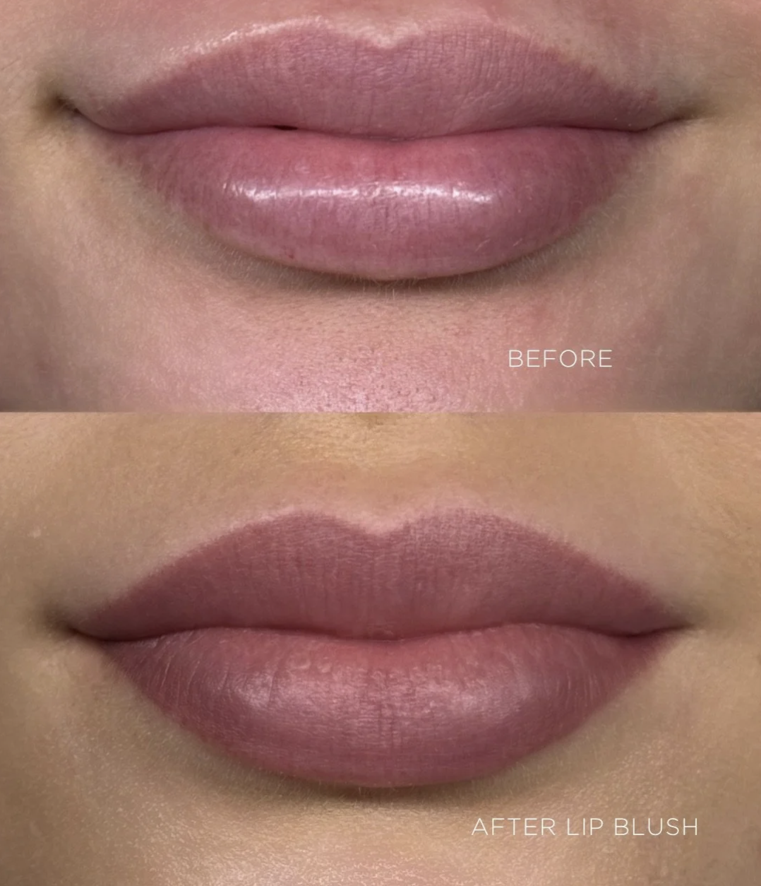 Screenshot 2026-02-01 at 12.01.16 pm.png