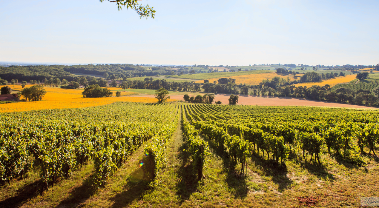 Meet the wine makers
