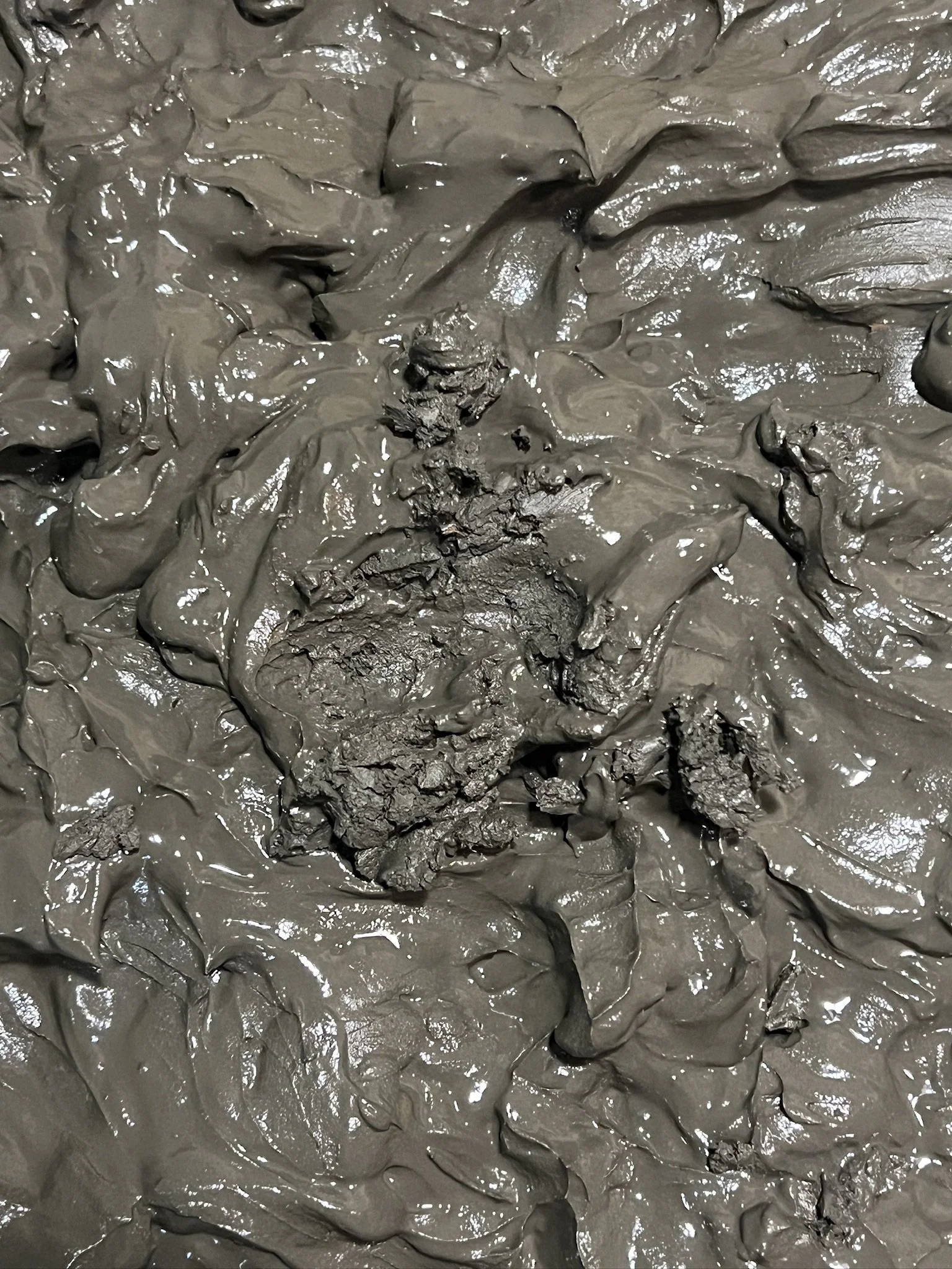 13A92744-73BC-4654-815D-3077565C4710_1_102_o.jpeg