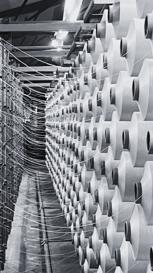 Fileta de urdido.png