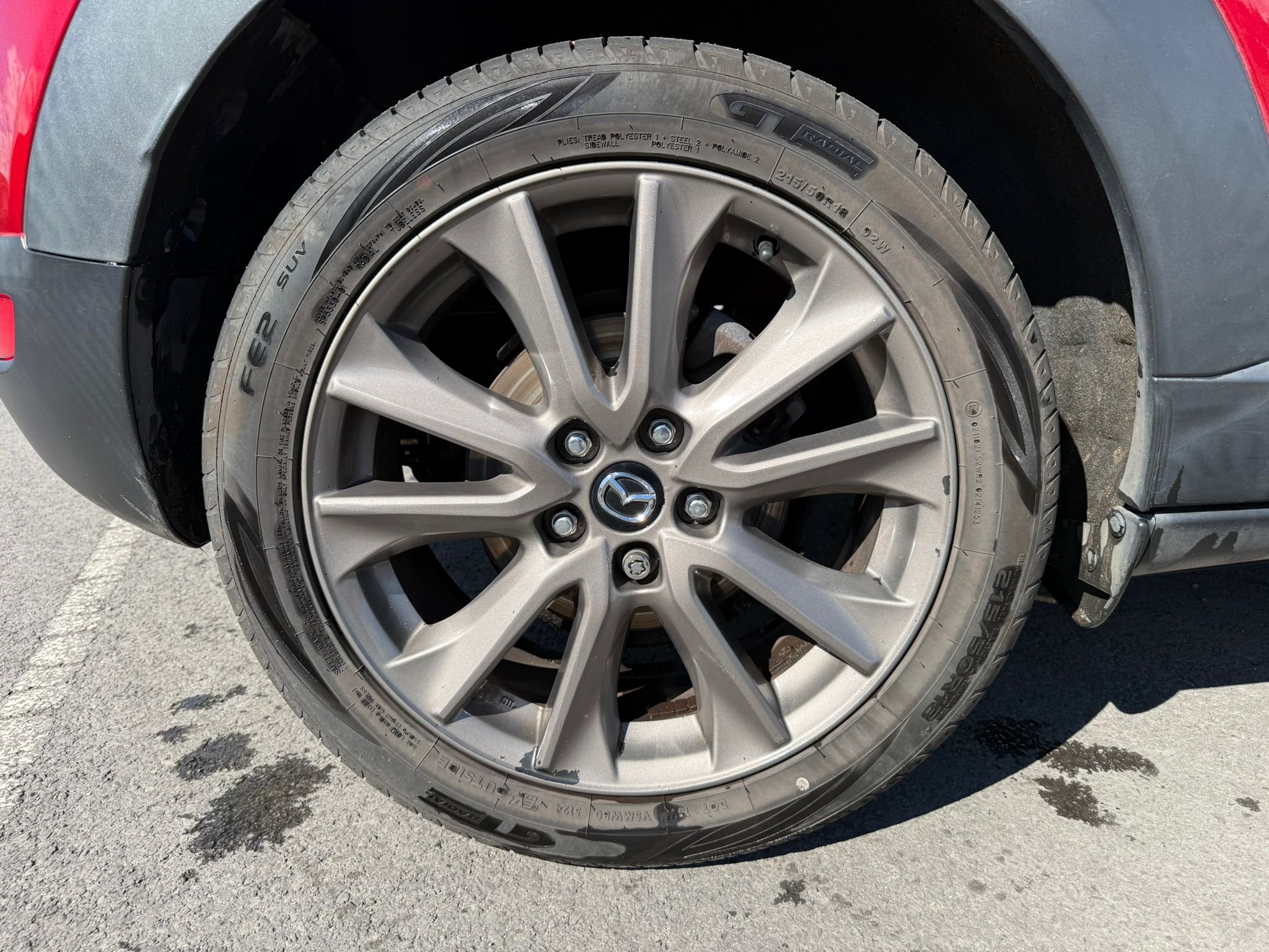 WhatsApp Image 2026-03-31 at 14.39.16.jpeg