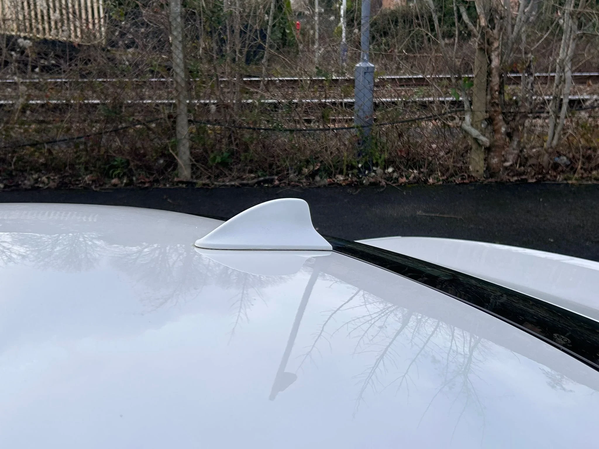 WhatsApp Image 2026-02-22 at 12.18.33 (2).jpeg