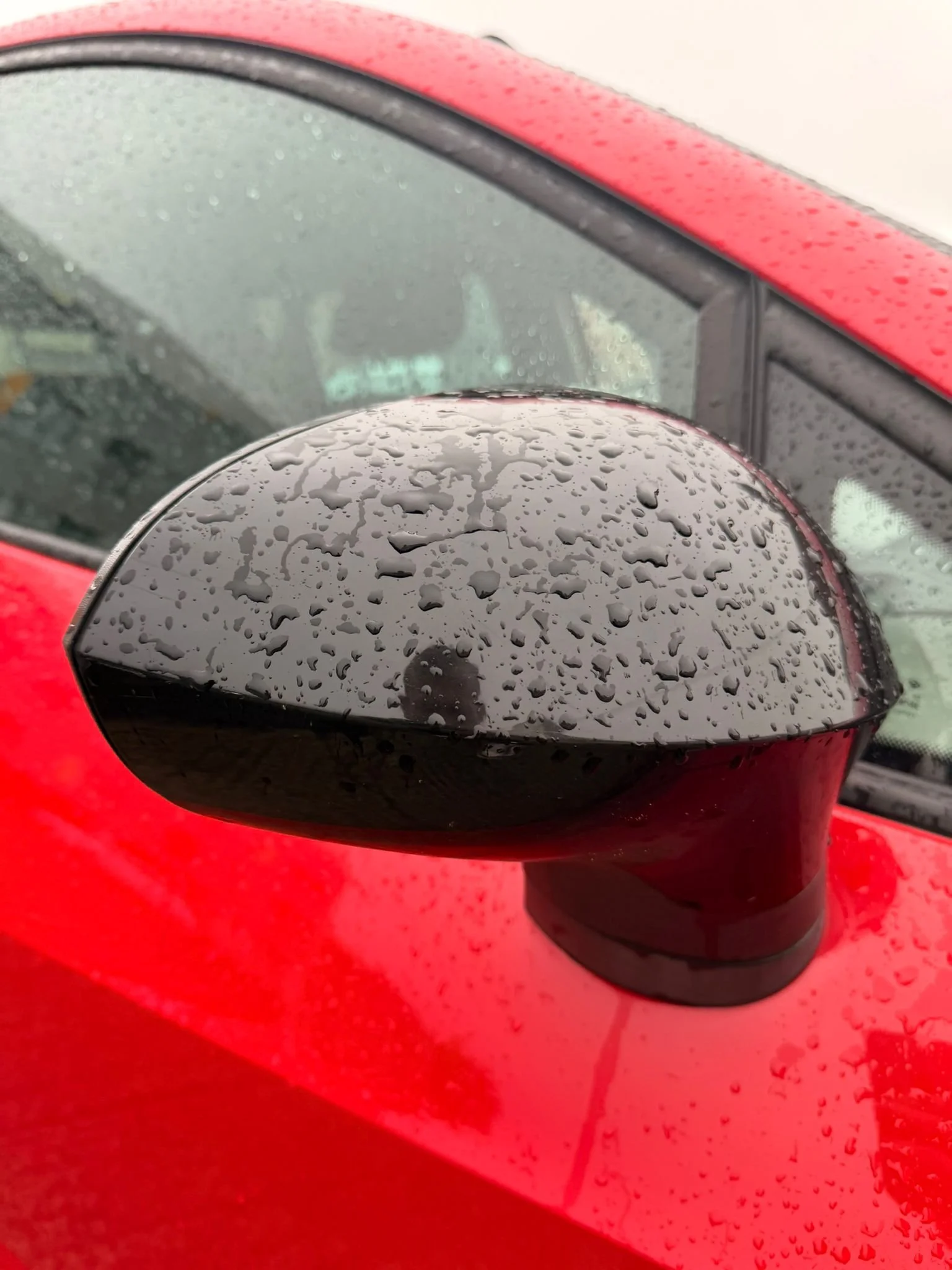 WhatsApp Image 2026-03-13 at 14.09.44.jpeg