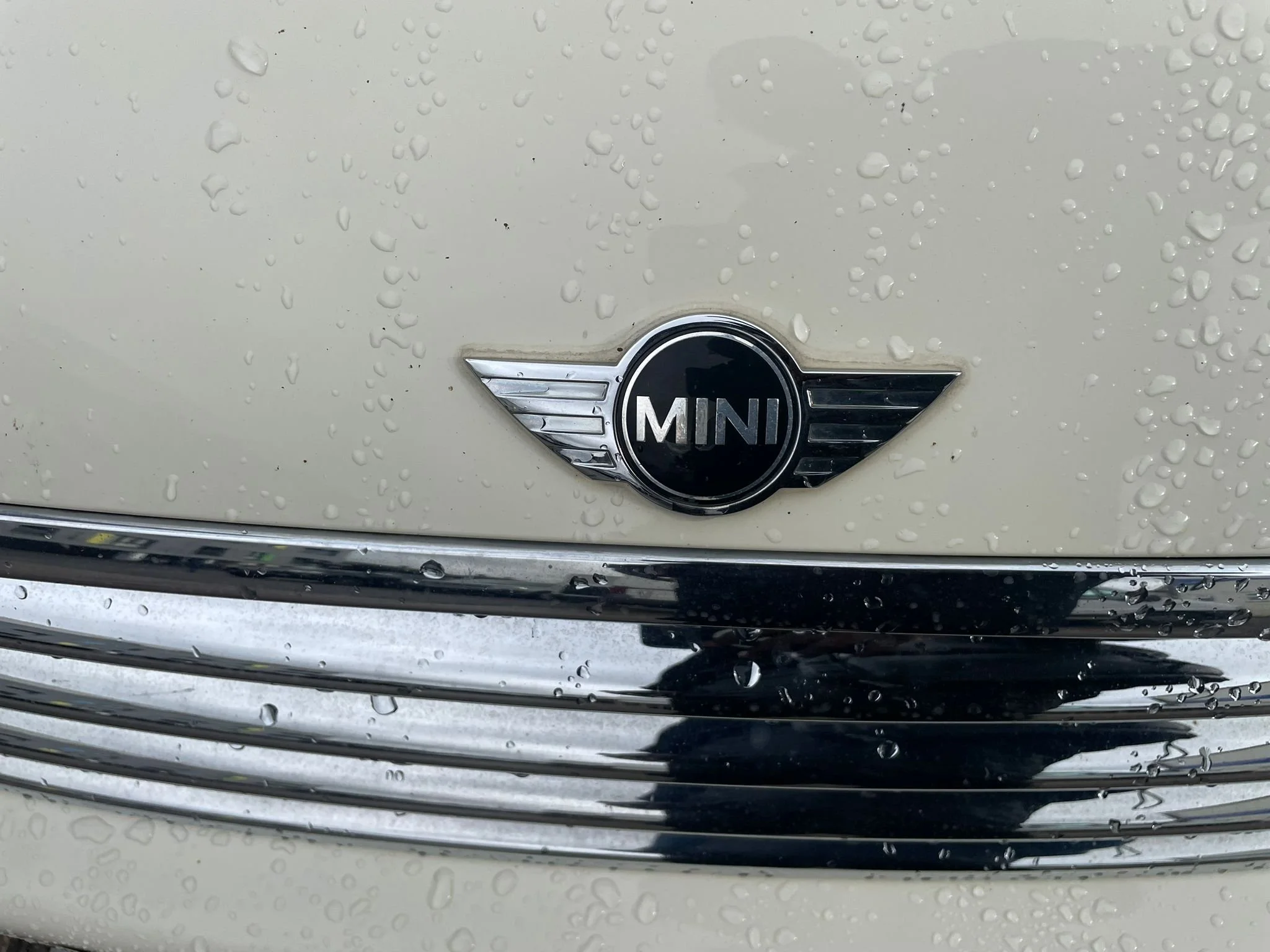 WhatsApp Image 2026-02-06 at 11.30.32 (3).jpeg