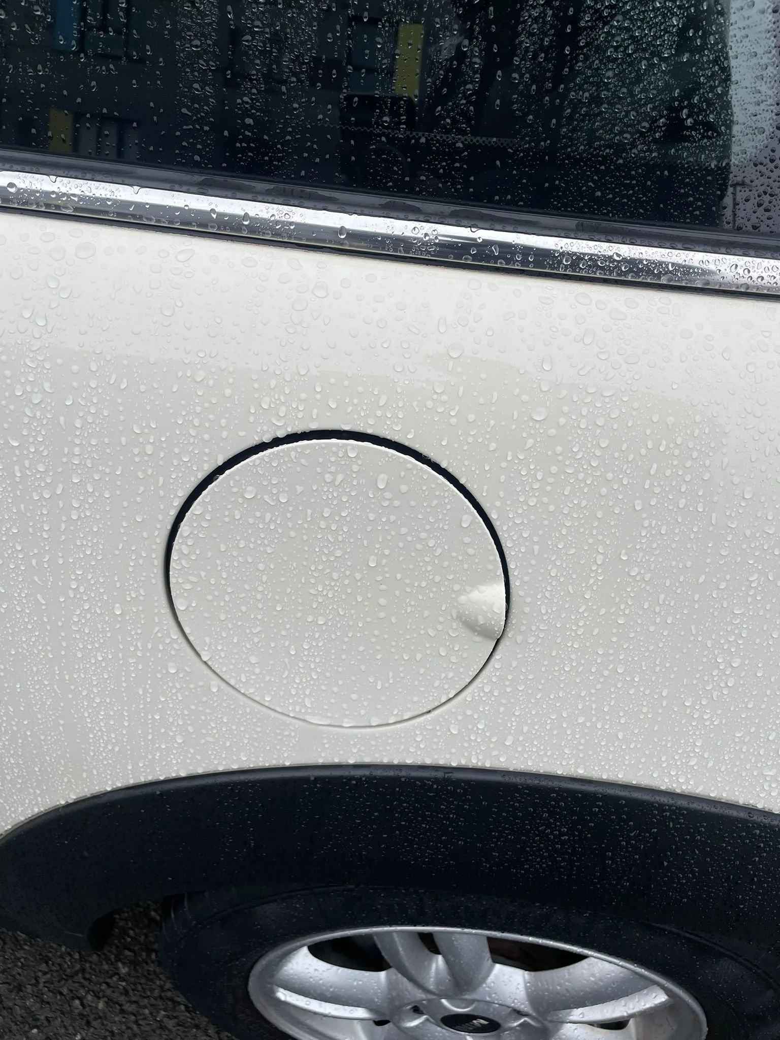 WhatsApp Image 2026-02-06 at 10.14.14 (1).jpeg