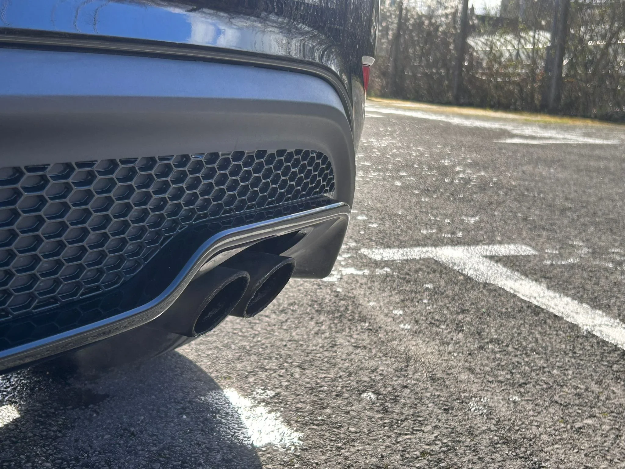 WhatsApp Image 2026-02-28 at 11.28.27.jpeg