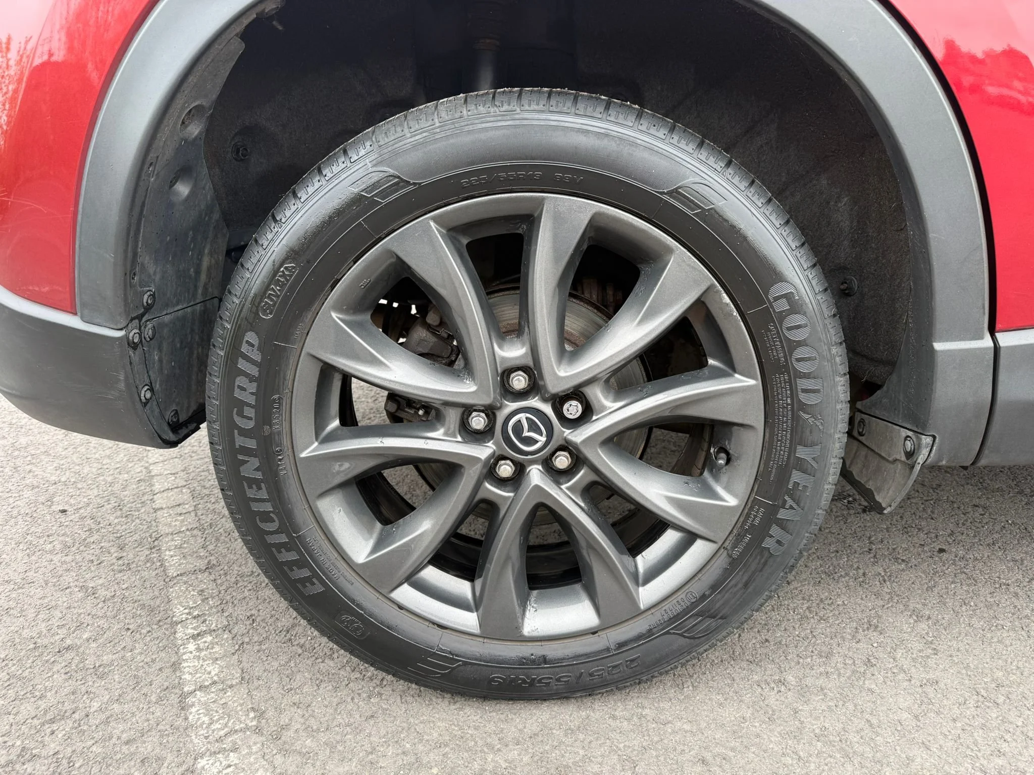 WhatsApp Image 2026-04-14 at 15.56.04.jpeg