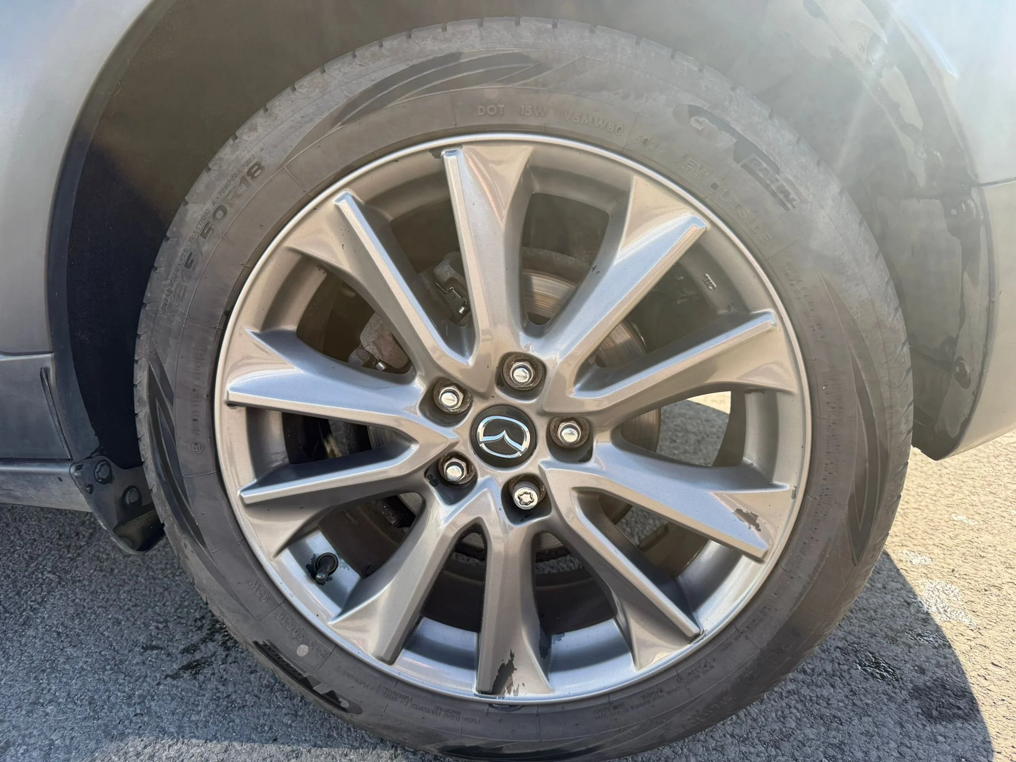 WhatsApp Image 2026-03-31 at 14.39.17 (1).jpeg