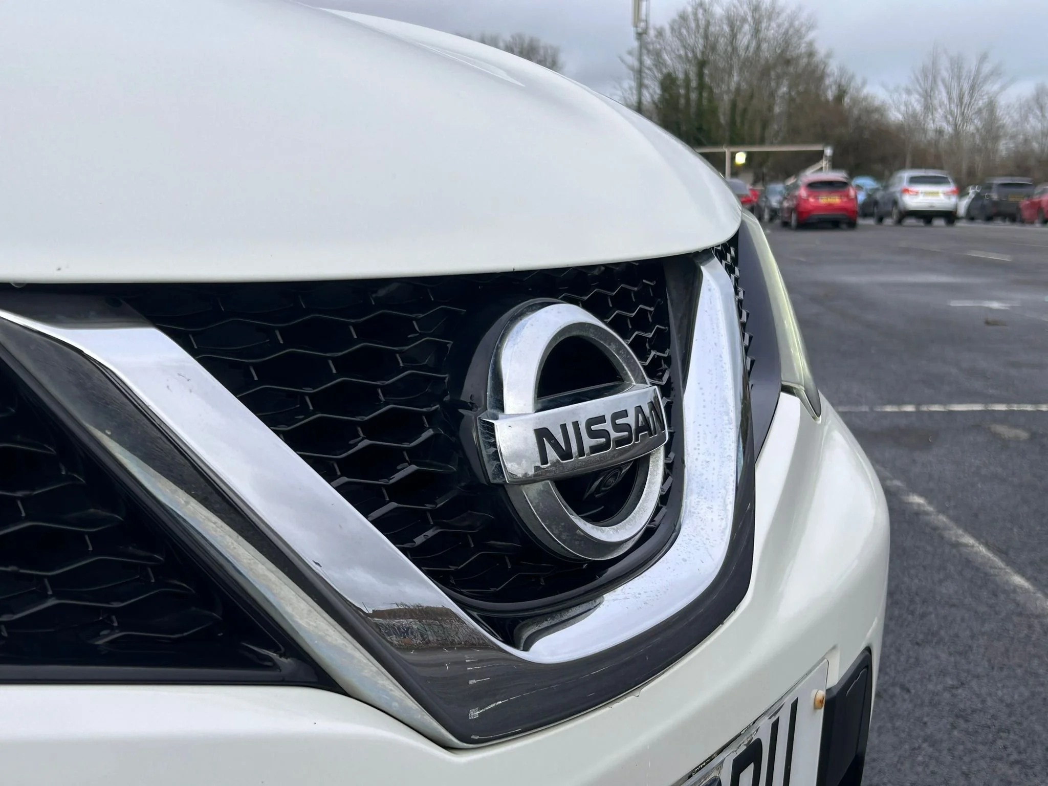 WhatsApp Image 2026-02-21 at 11.11.52 (5).jpeg