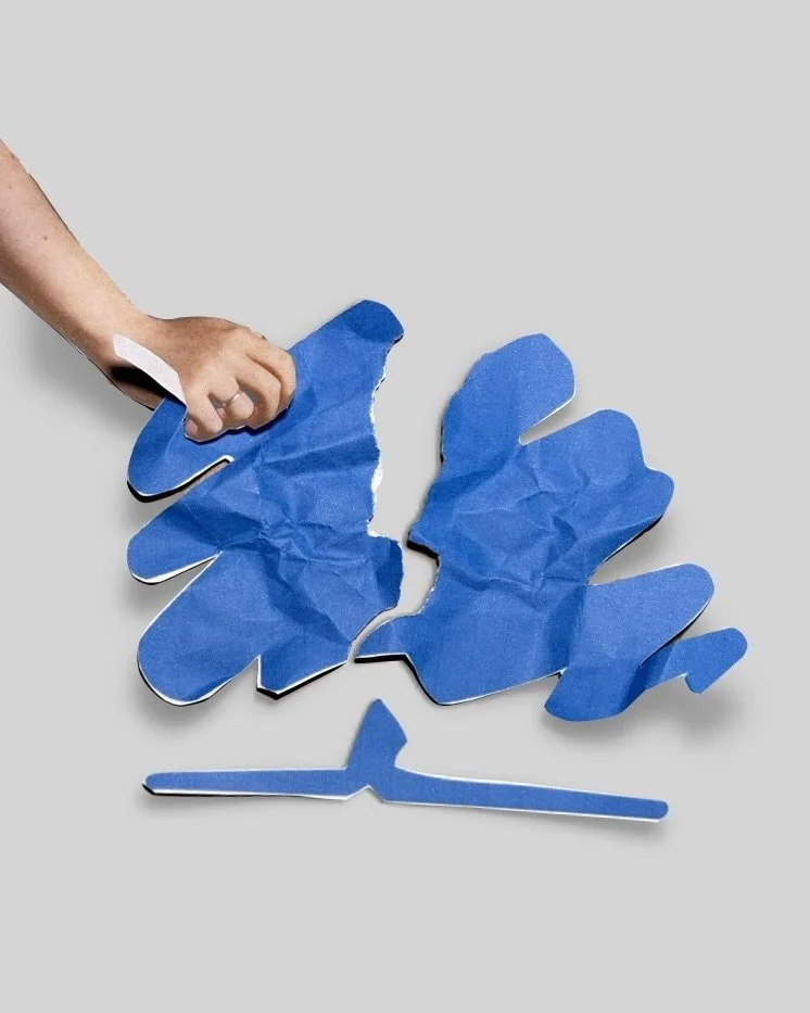 Pulled apart: can the Tory party survive the 21st century?