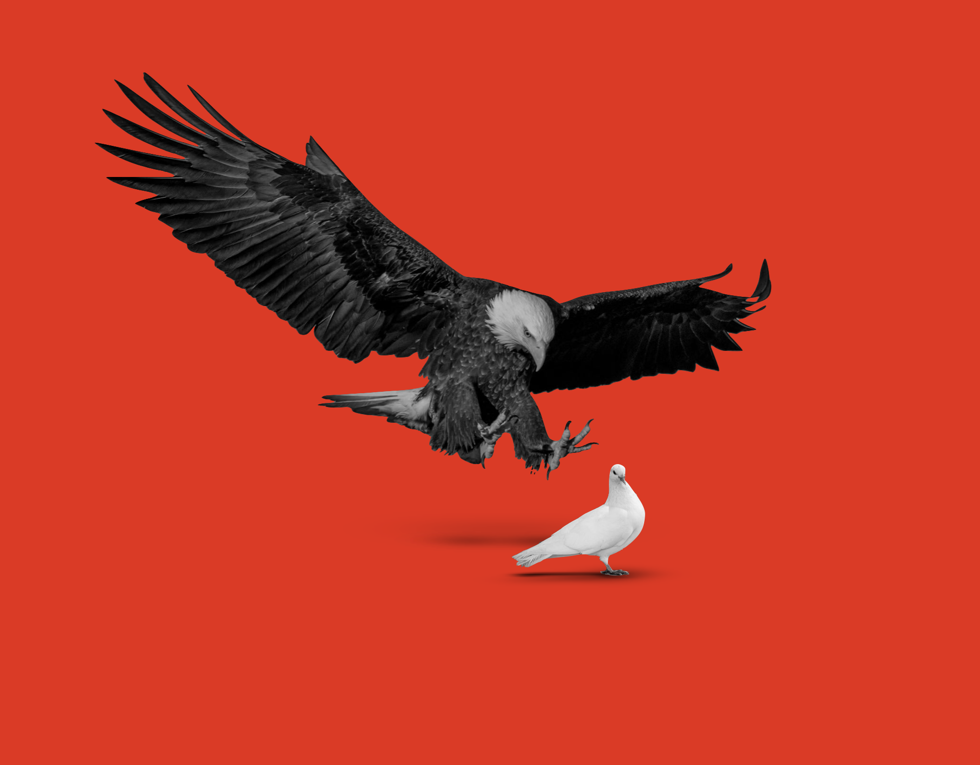 Screenshot 2025-07-26 at 12.56.27.png