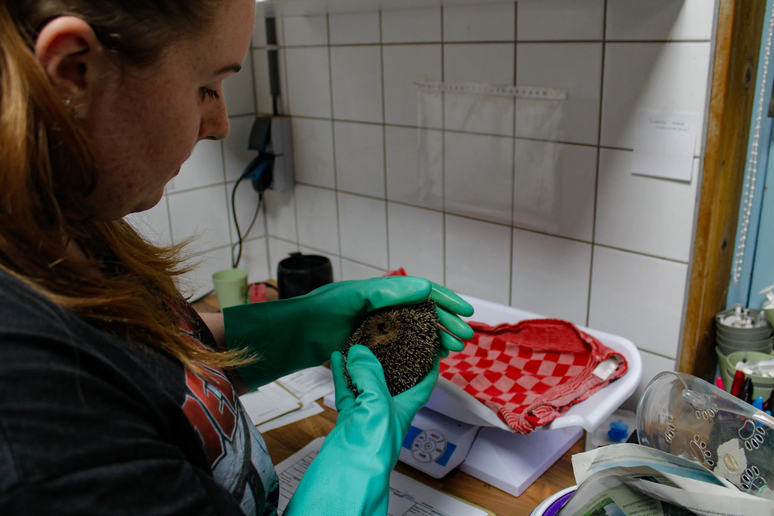 Copy of _MG_6257.jpg