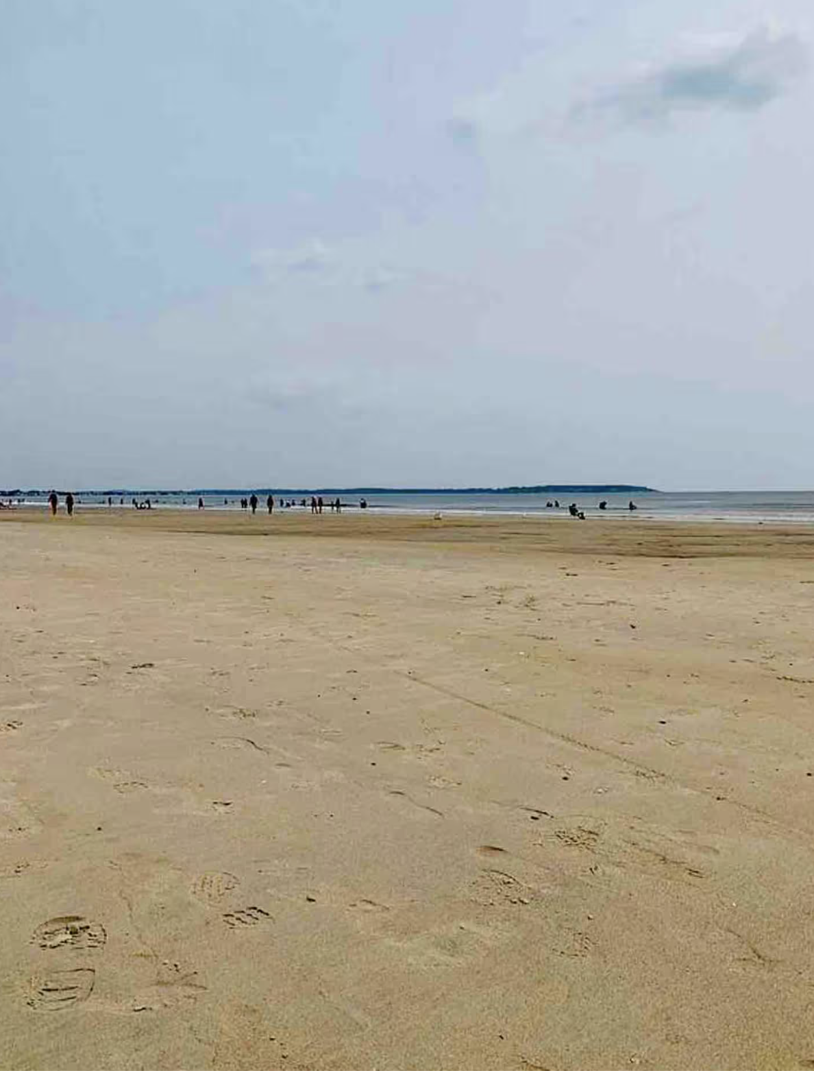 Beach.png