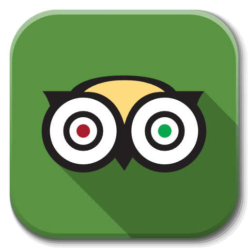 Cartoon owl with large round eyes, one with a red iris and the other with a green iris, on a green background.