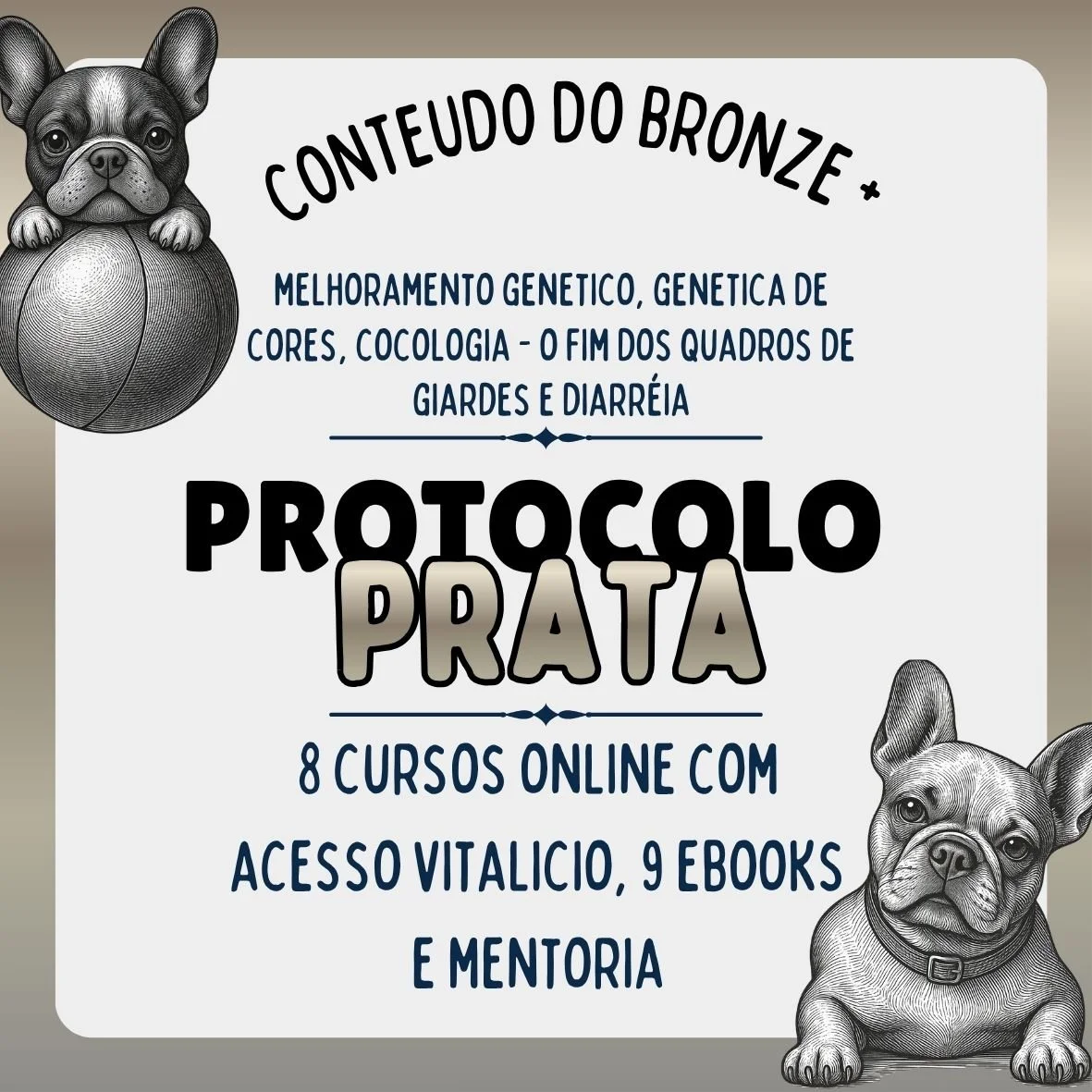 Protocolo Prata Criodog | Planejamento Técnico e Previsibilidade