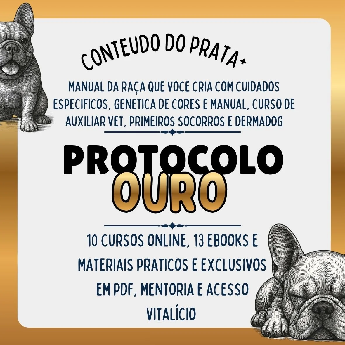 Protocolo Ouro | Domínio Absoluto e Mentoria na Criação