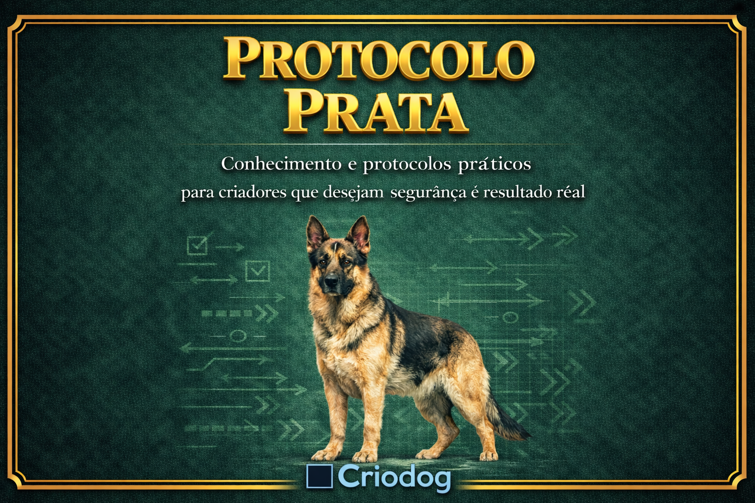 Protocolo Prata Criodog | Planejamento Técnico e Previsibilidade