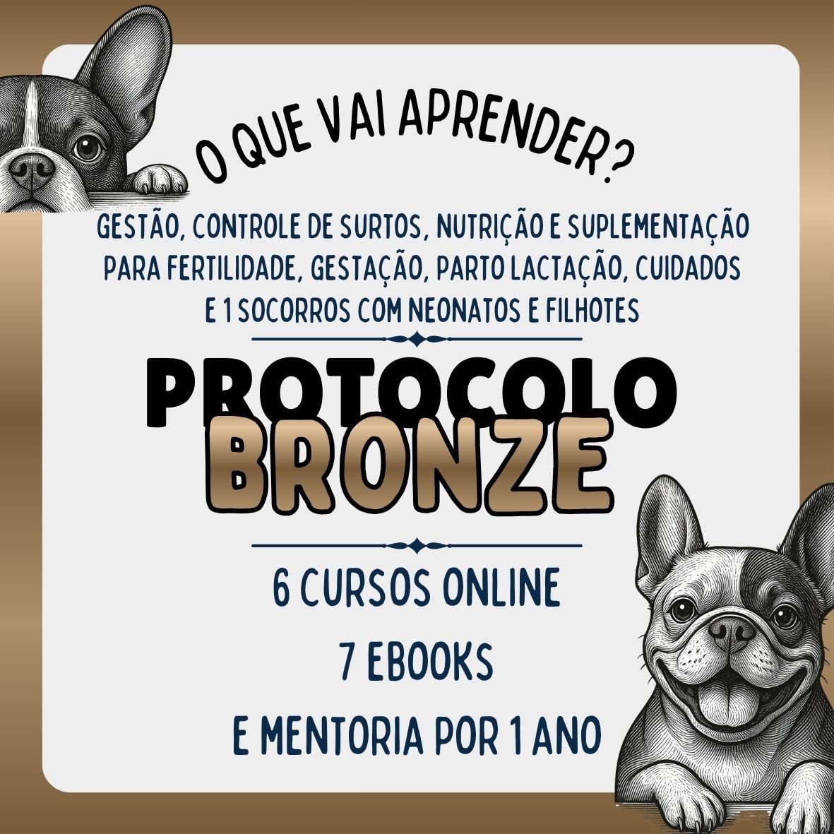 Protocolo Bronze Criodog | A Base Técnica Contra o Erro Caro