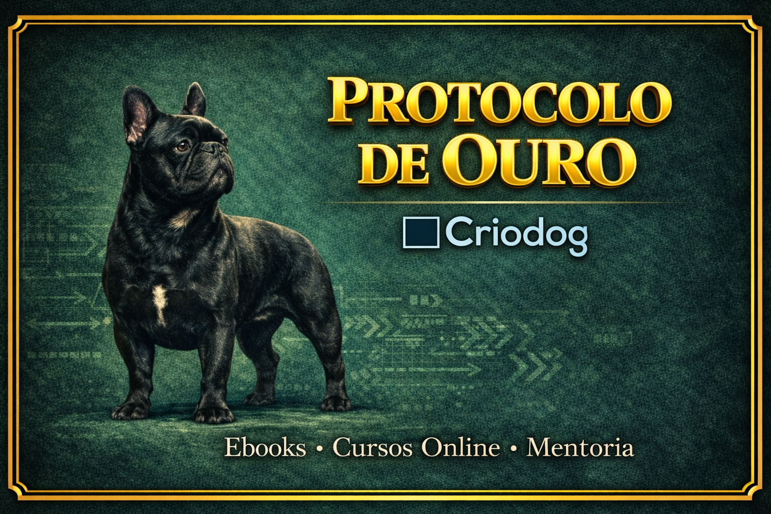 Protocolo Ouro | Domínio Absoluto e Mentoria na Criação
