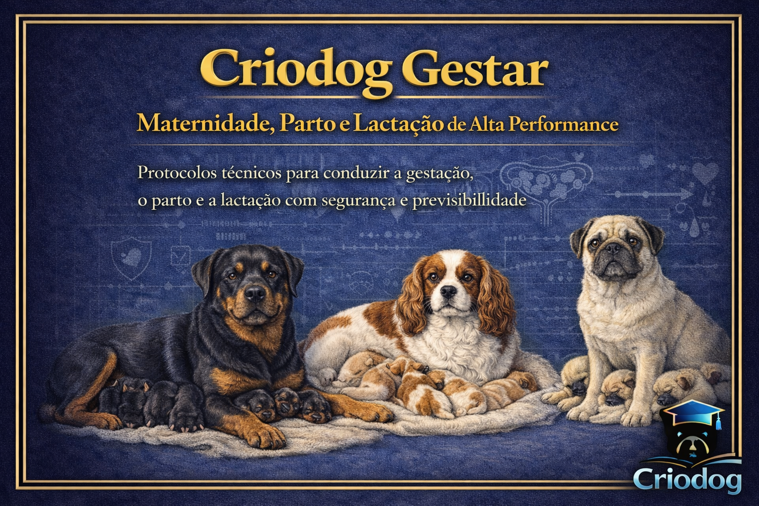 CrioDog Gestar: Gestação, Parto e Lactação de Alta Performance