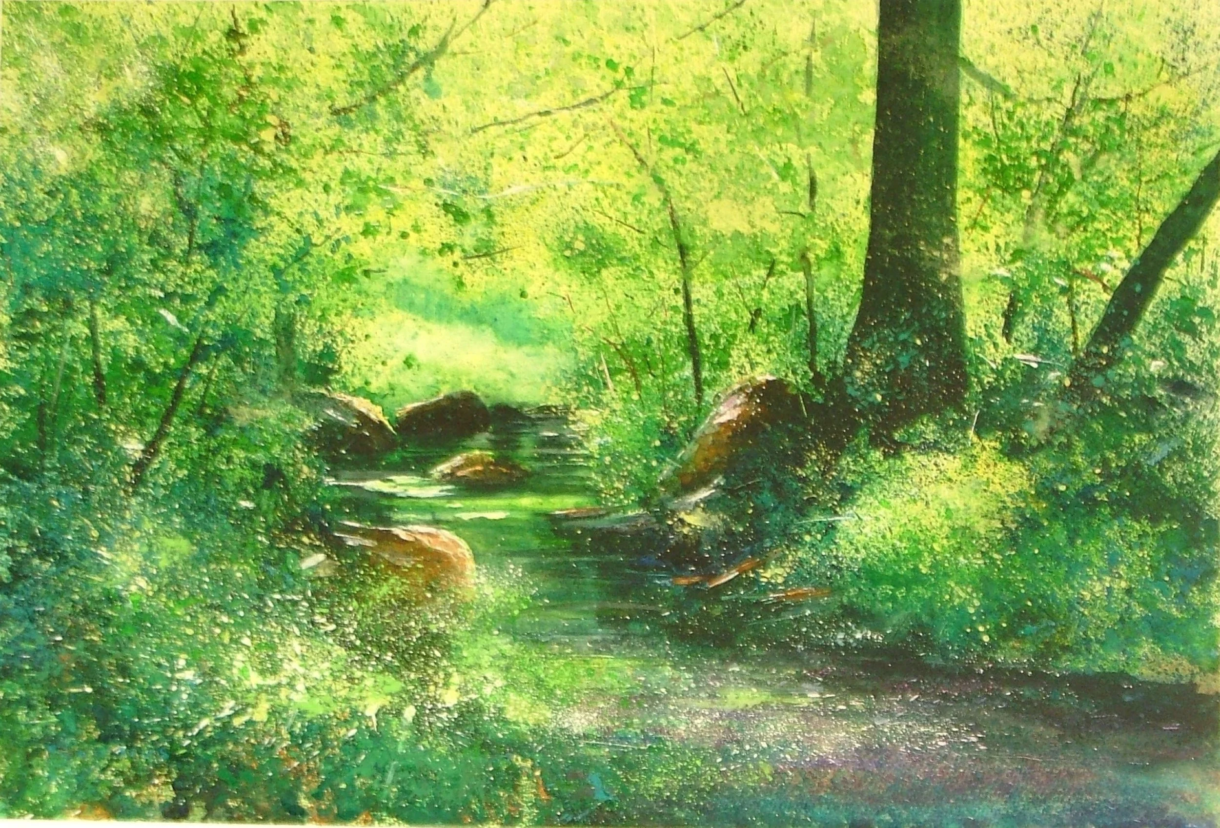 tim williams slow stream.jpg