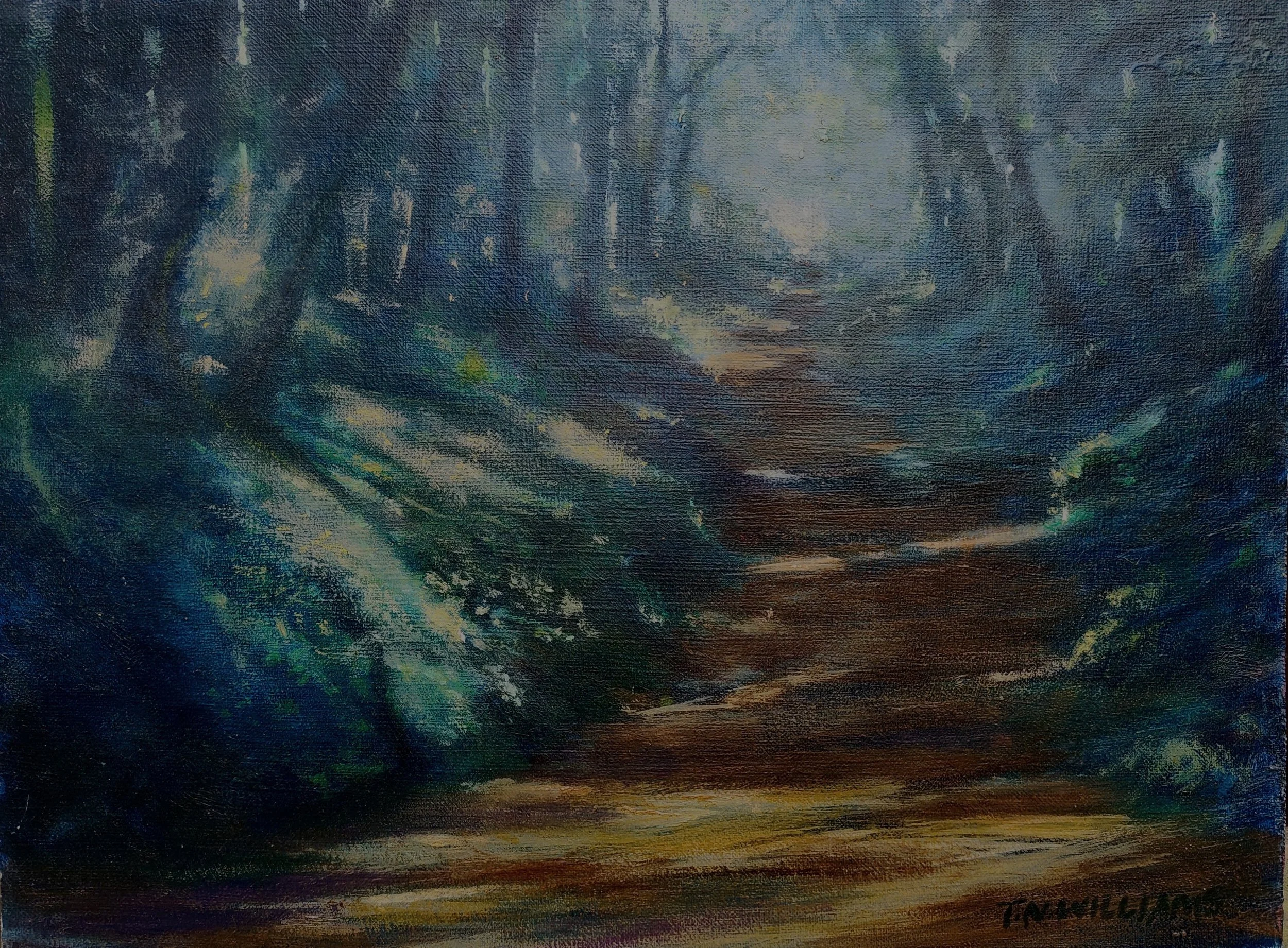 Invention Wood, Dulverton