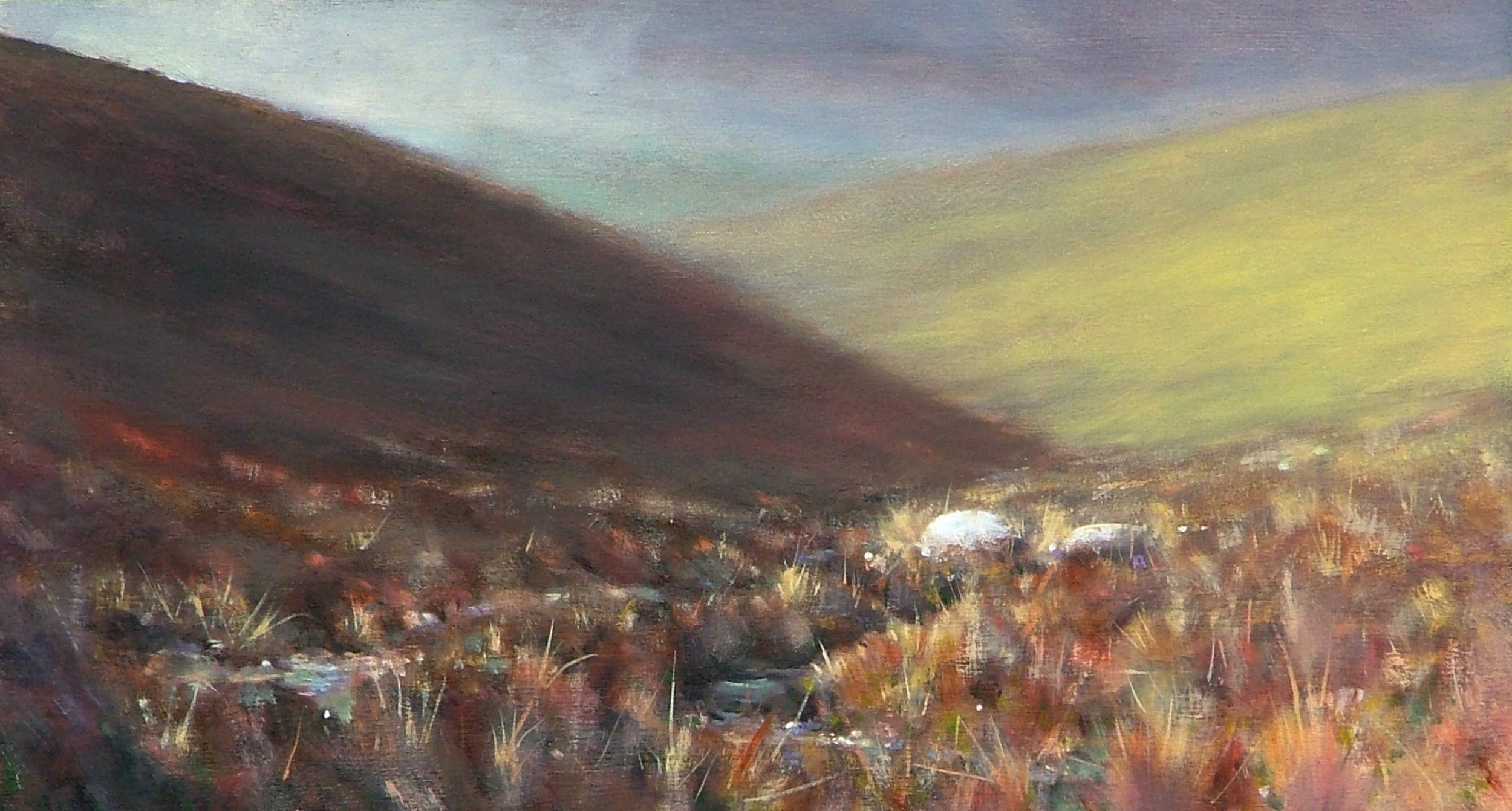 moorland edit.jpg