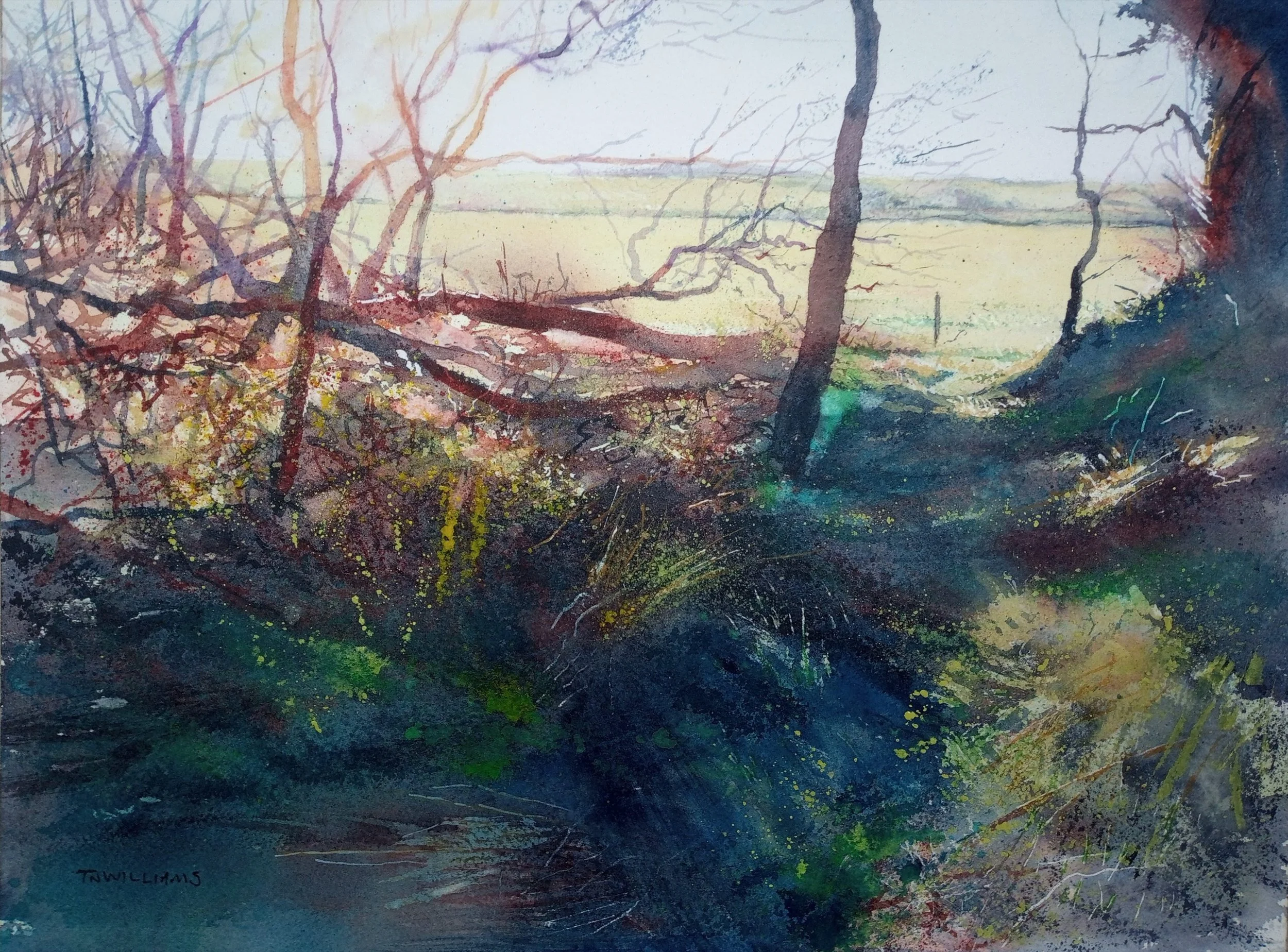Abstract watercolor painting with dark and vibrant colors, including greens, blues, purples, reds, and yellows, depicting a landscape scene with trees, branches, and splashes of paint.