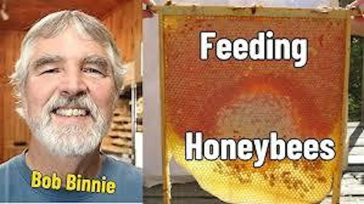 Bob Binnie - Visiting Speaker