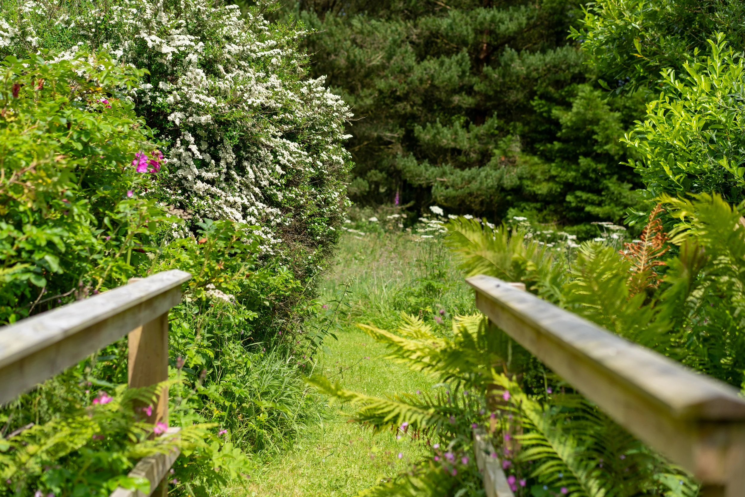 A narrow garden pathway lined with wooden handrails and lush greenery, flowering bushes, and trees on either side.