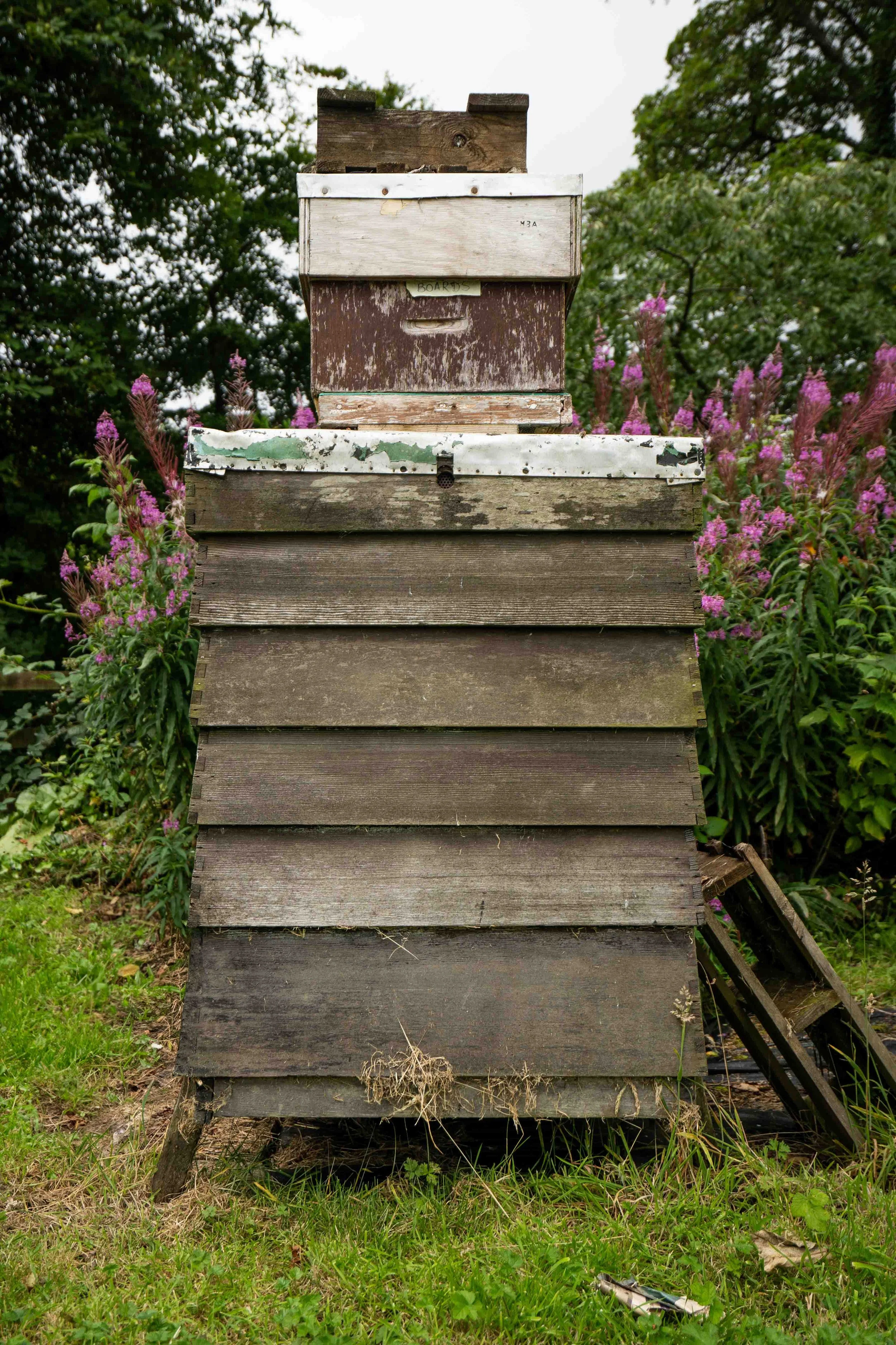 A rustic wooden bee and insect hive with several stacked boxes, surrounded by green grass, flowering plants, and trees.