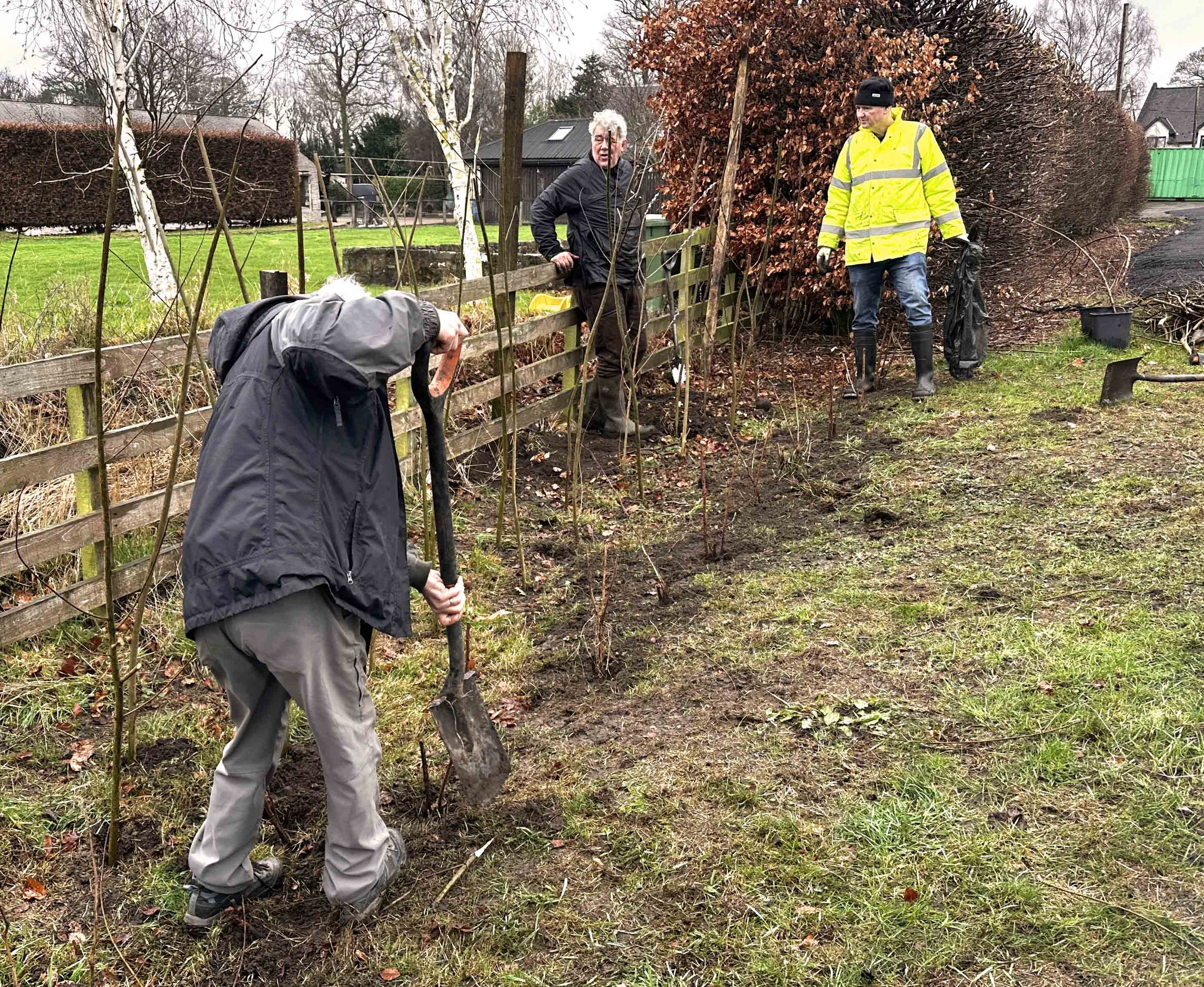 Three people planting small trees along a fence on a patch of dirt in a field with grass, bushes, and trees in the background.