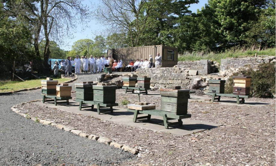 Group of people gathered outdoors near beehives on a clear day, with trees in the background.